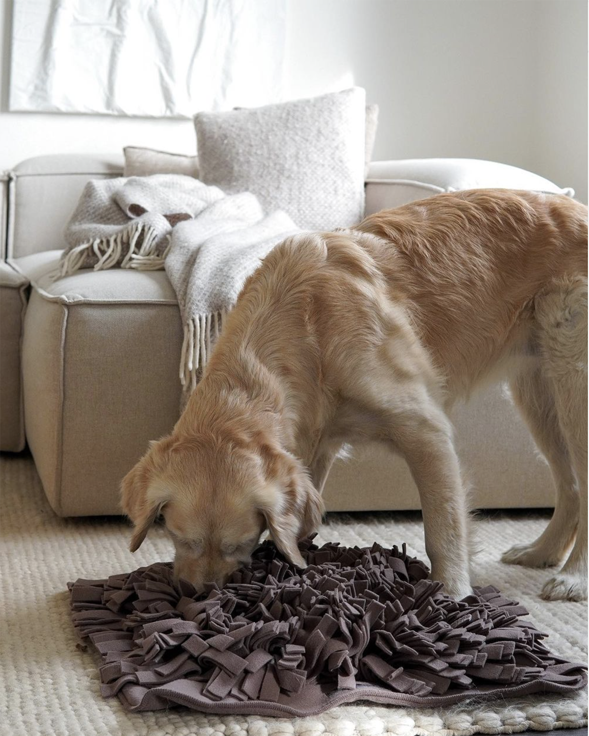 DOG SNUFFLE MAT | משטח רחרוח לכלב