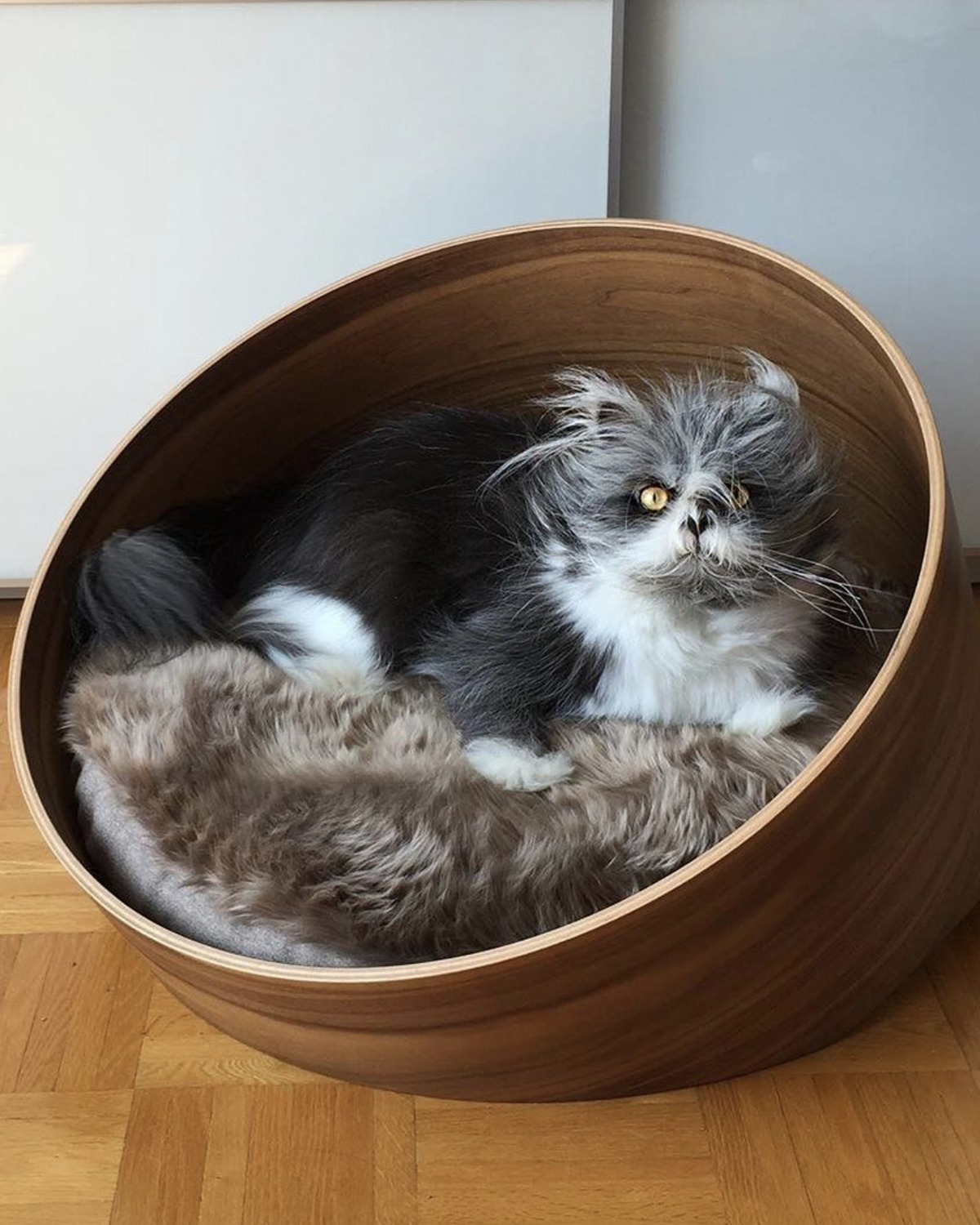 מיטת עץ לכלב