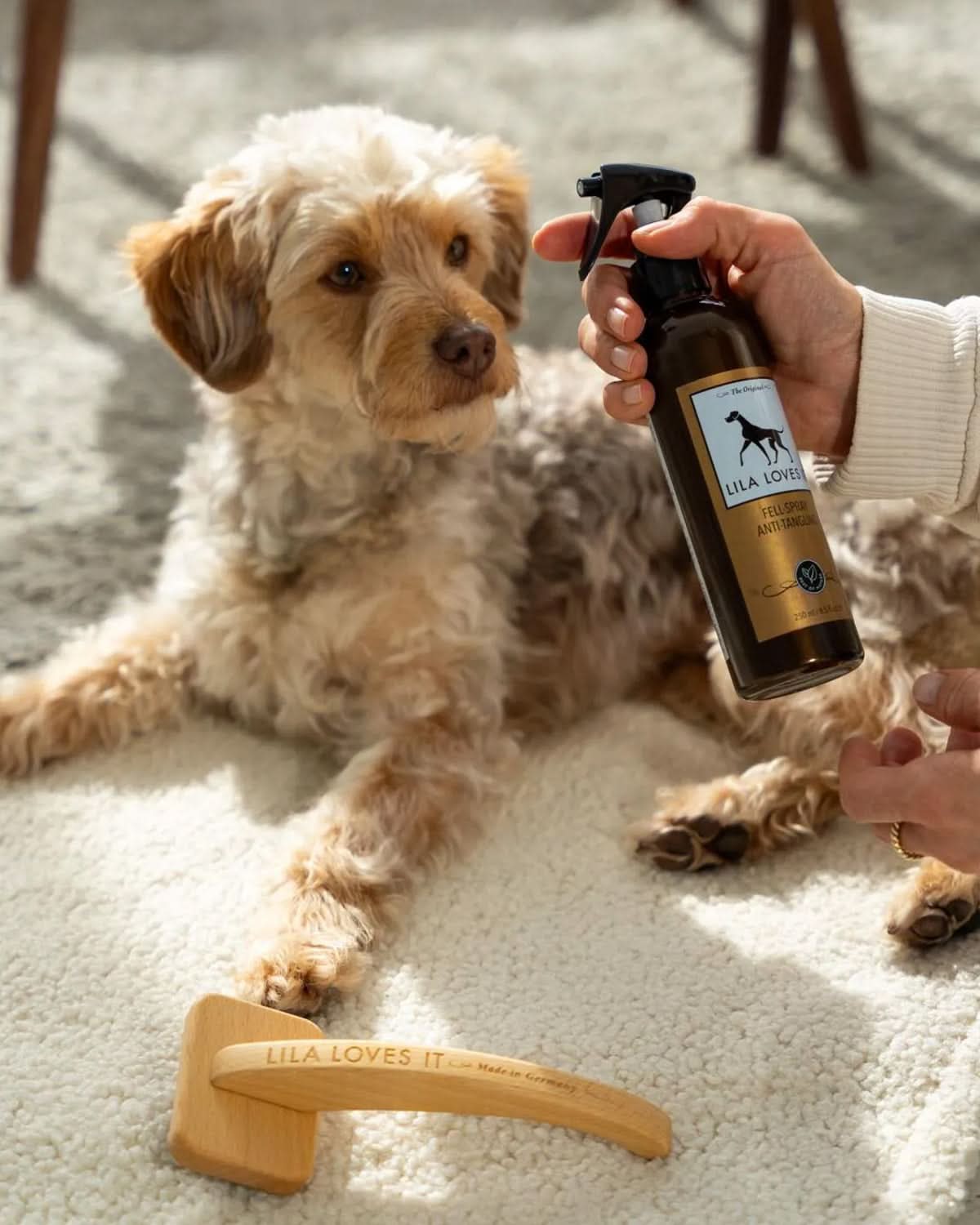 ספריי התרת קשרים