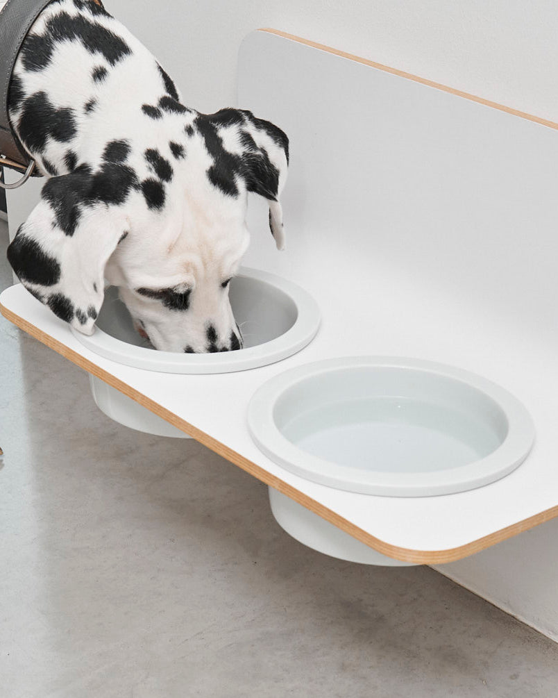 פינות אוכל פורצלן לחתולים וכלבים