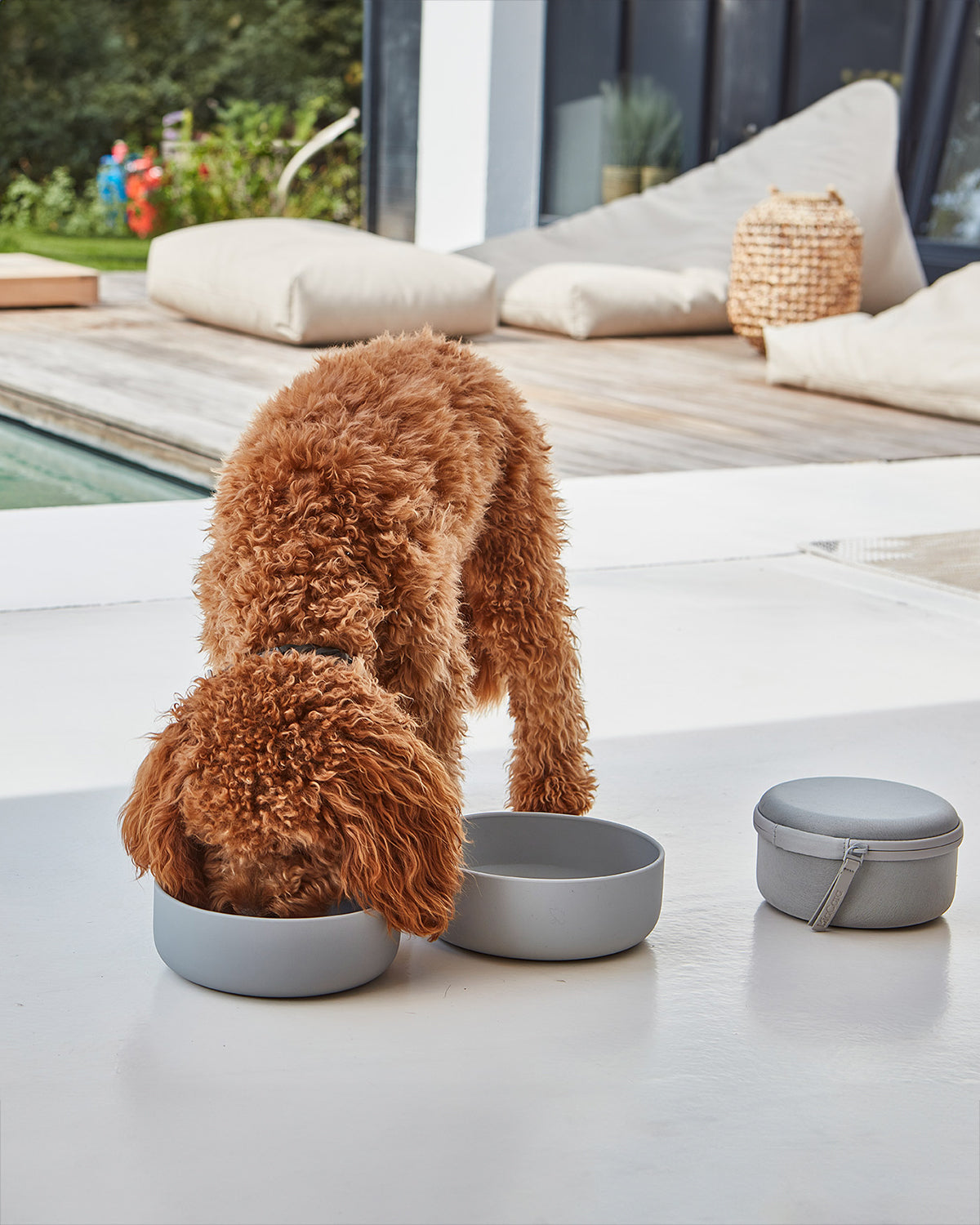 סט BENTO & BOTTIGLIA | סט קערות בנטו ובקבוק מים