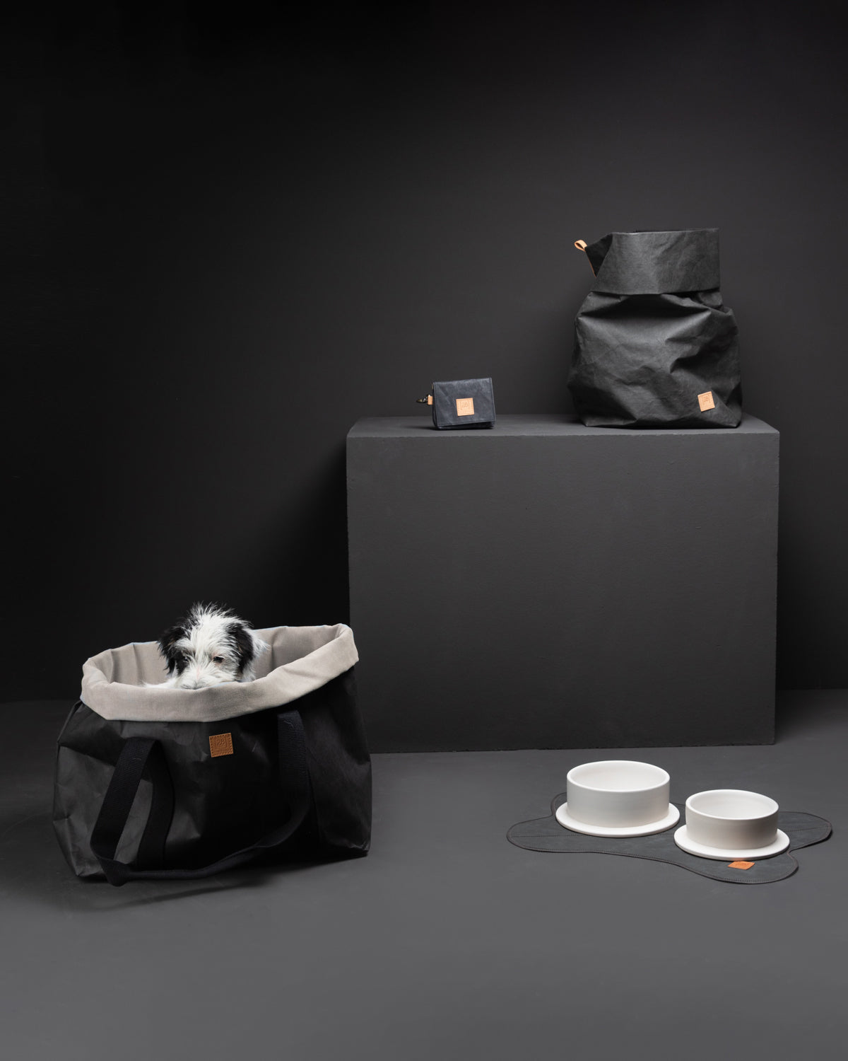 אחסון מזון לכלבים