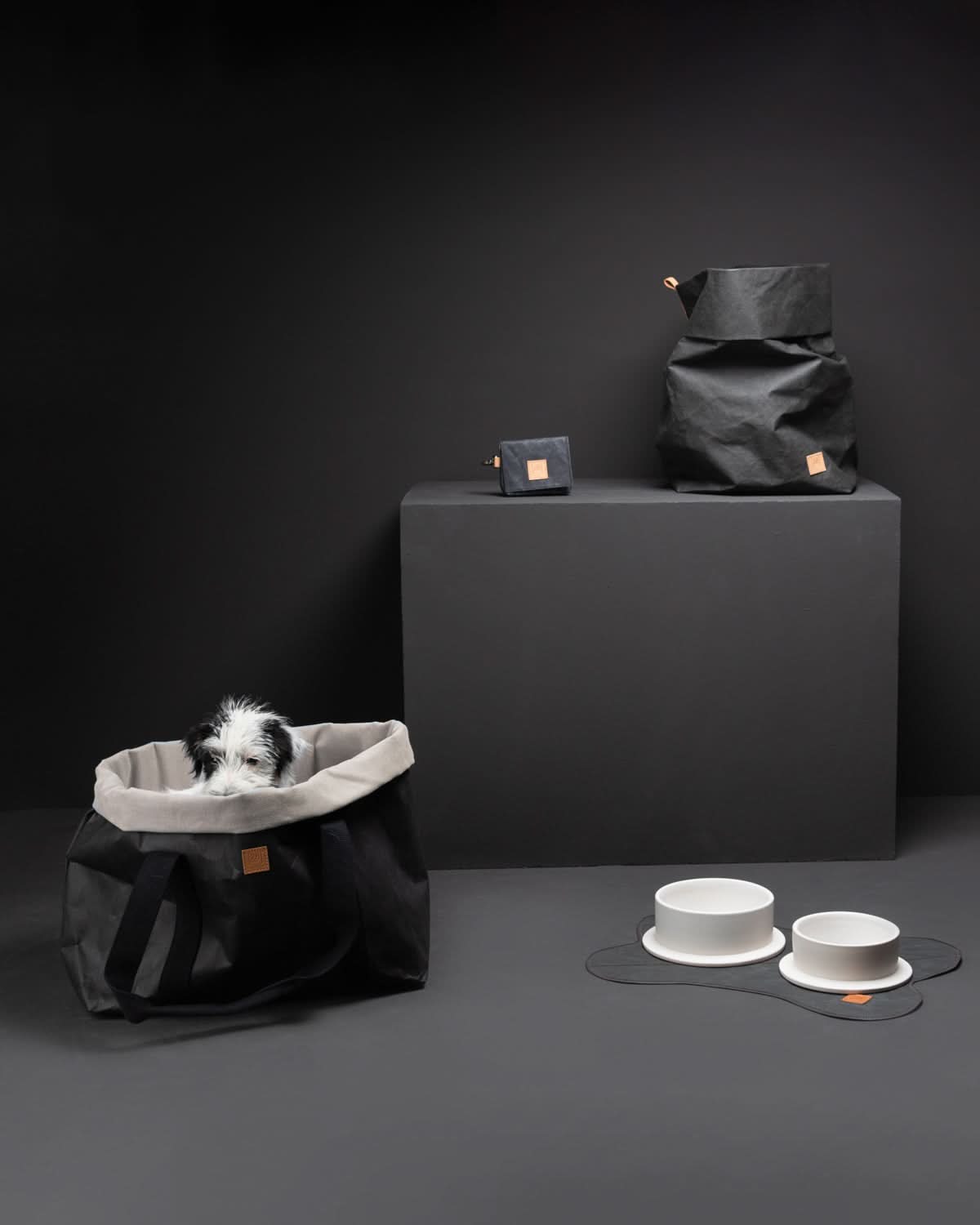 אחסון מזון לכלבים