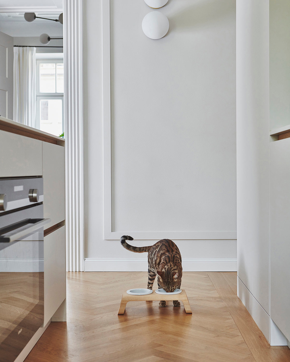 פורצלן דסקו עץ | מעמדות מוגבה לכלב