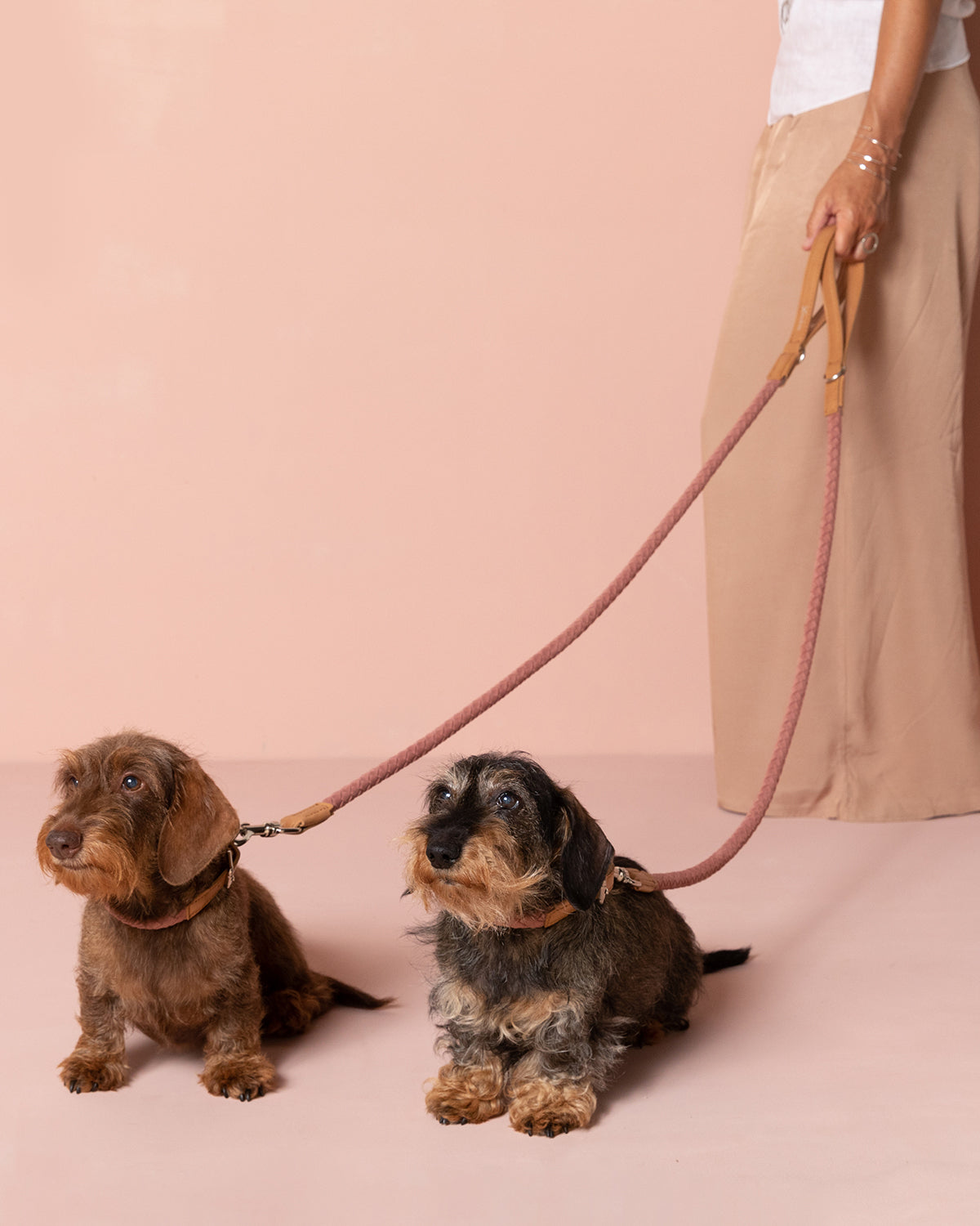 רצועת עור טבעוני לכלב