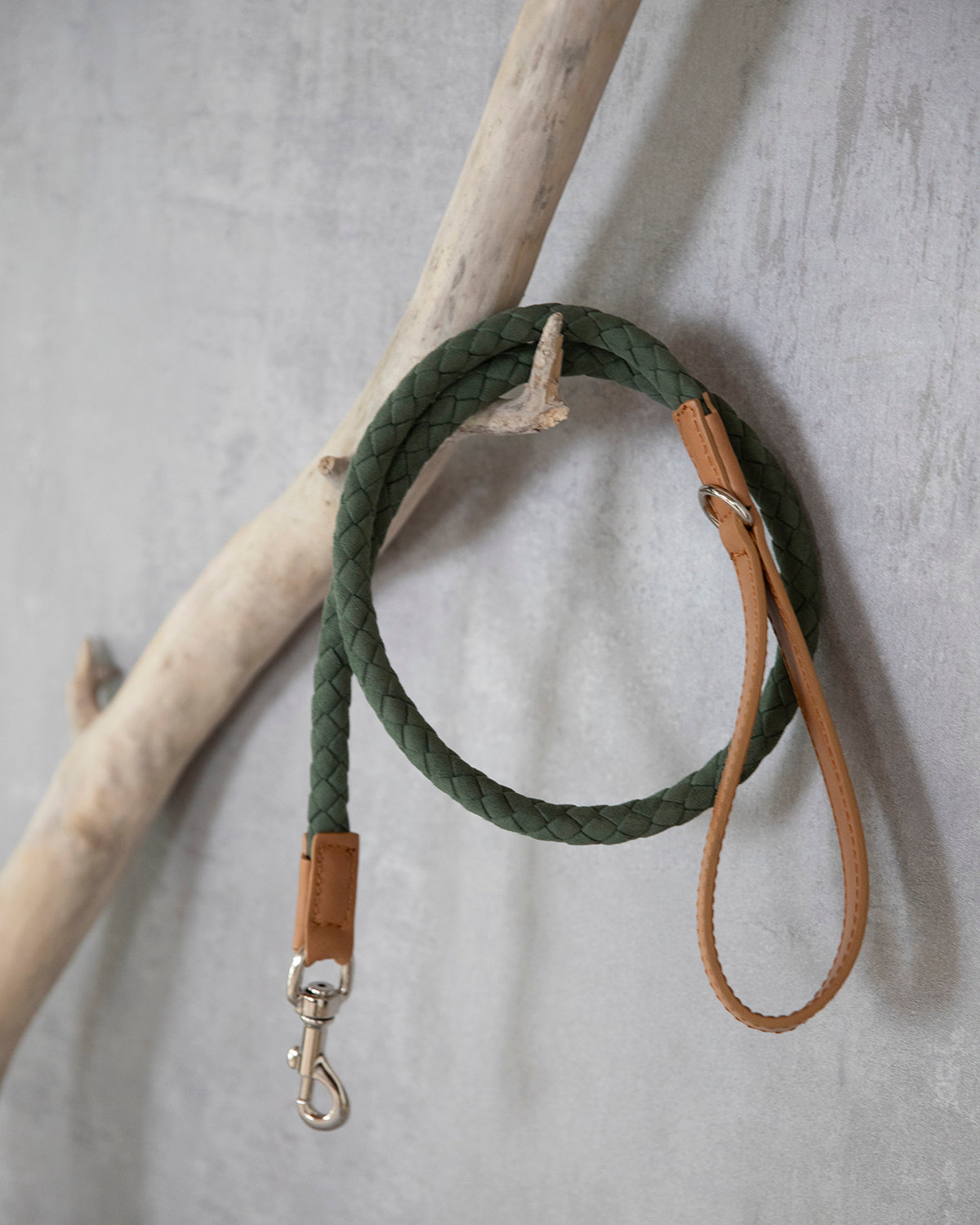 רצועת עור טבעוני לכלב