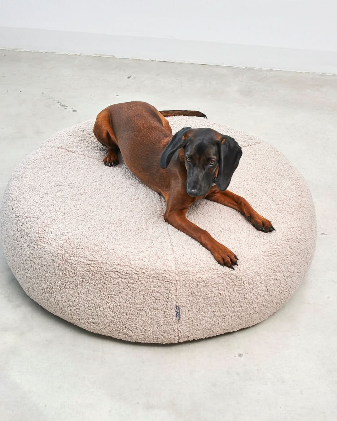 SENSO DOG ORTHOPEDIC POUFFE | מיטת פוף אורתופדית לכלב