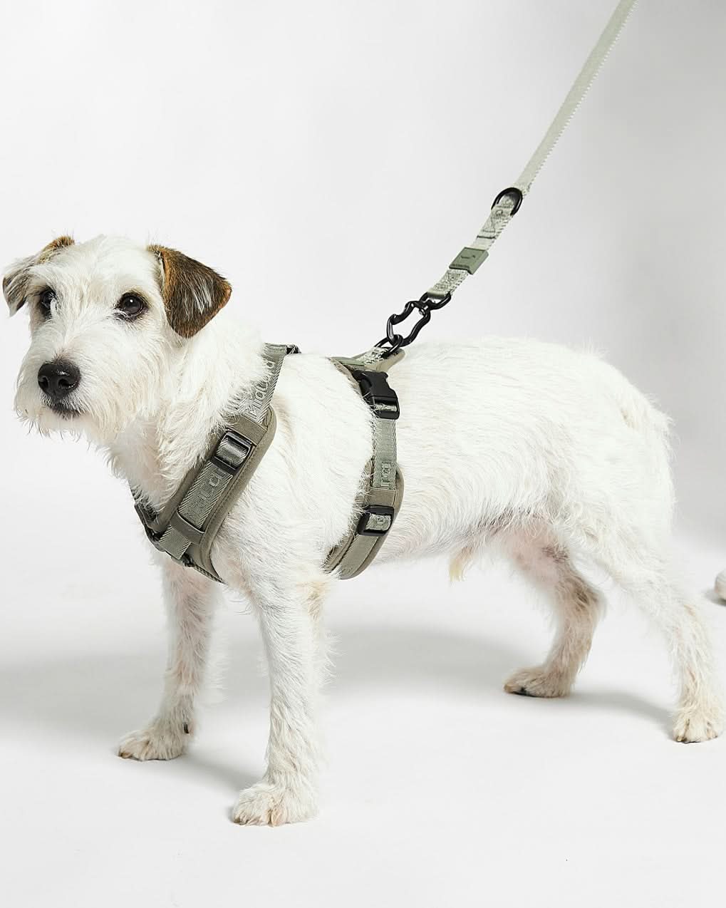 MODENA ADJUSTABLE LEASH | רצועה מתכווננת לכלב