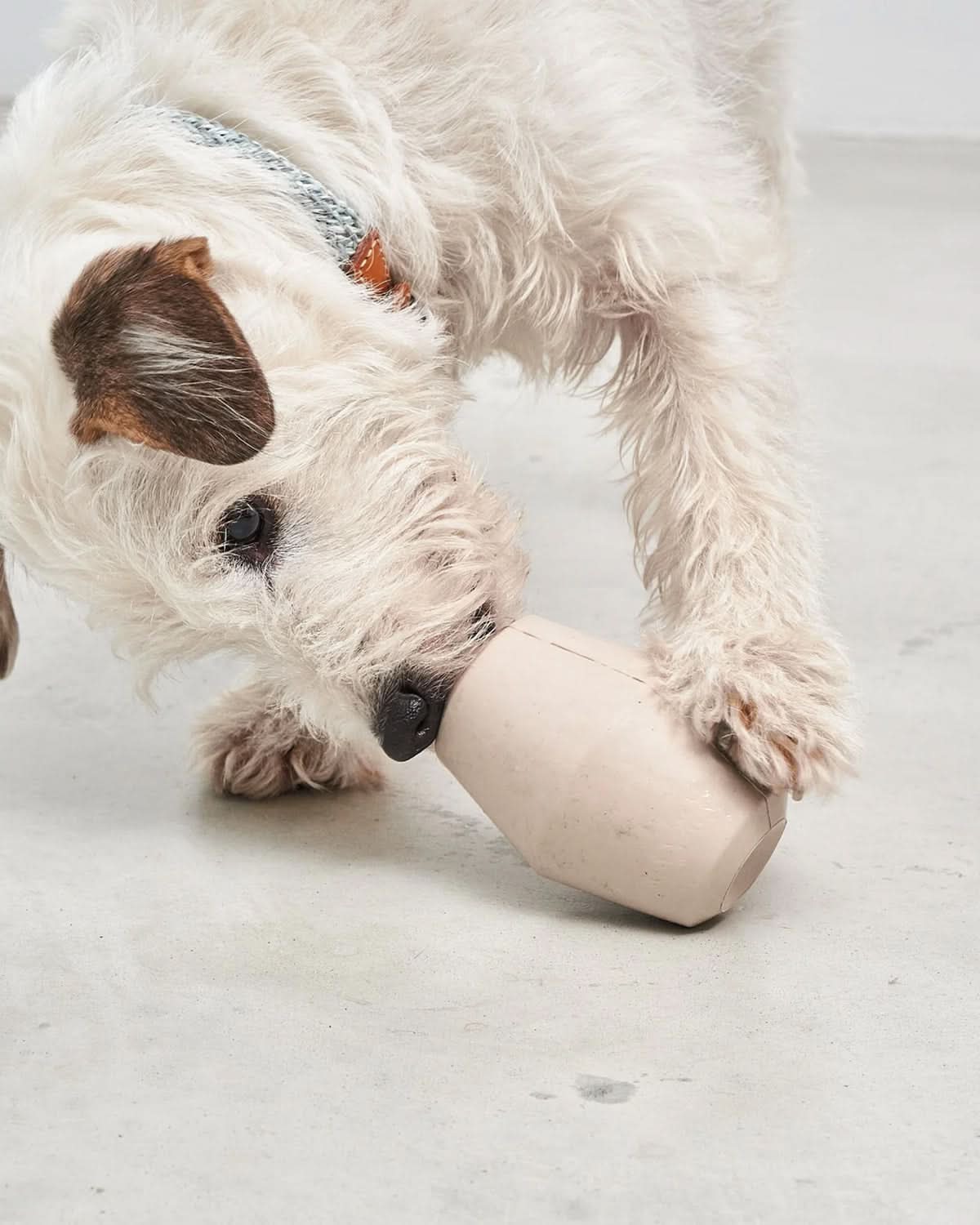 CONO ACTIVITY TOY | צעצוע האכלה אקטיבי לכלב