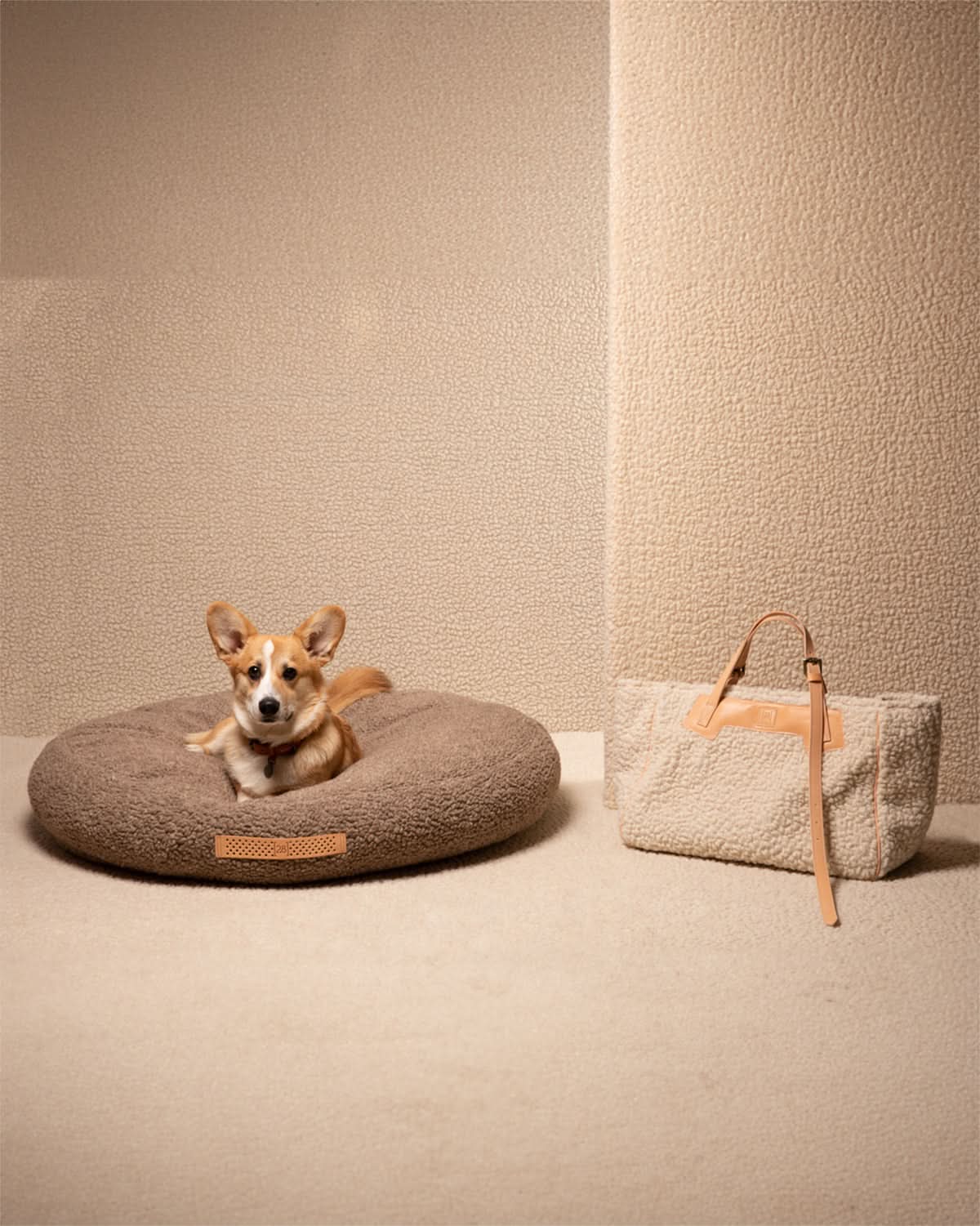 מיטת פוף לכלב