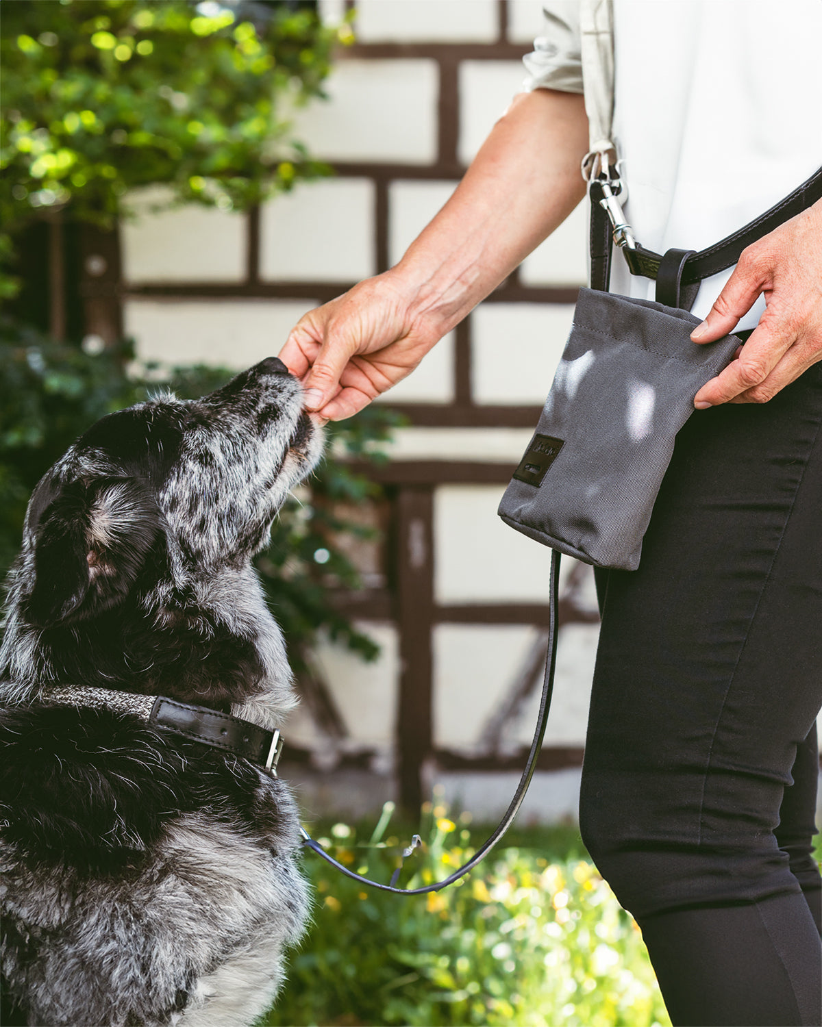 LUPO DOG TREAT BAG | נרתיק חטיפים לכלב