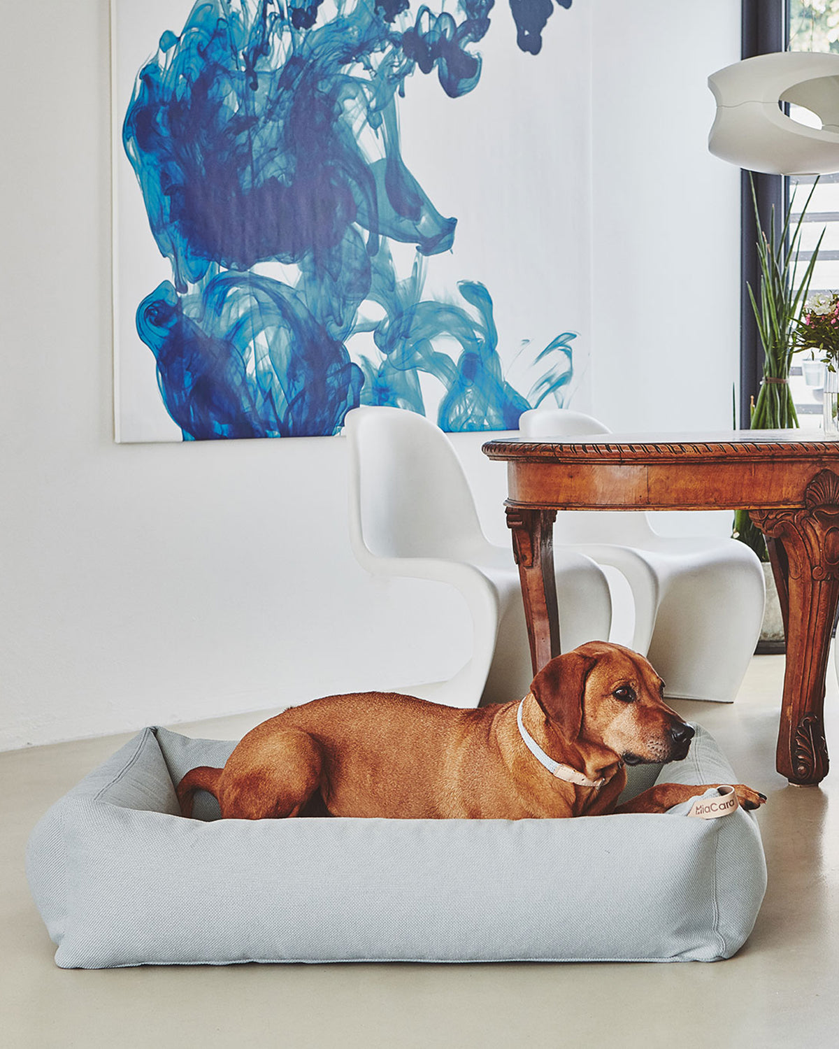 SONNO DOG BOX BED | מיטה לכלב