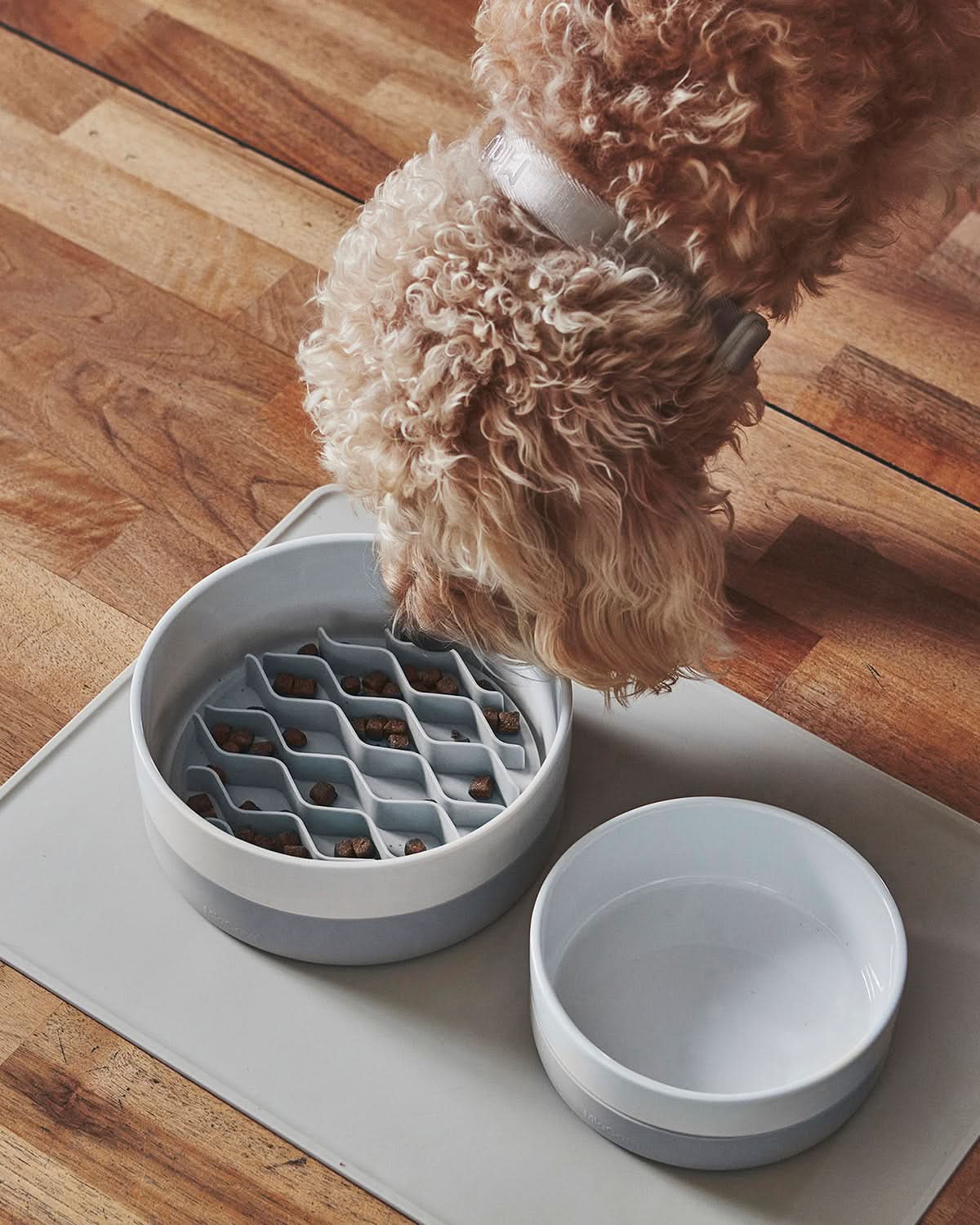 משטח האכלה איטית