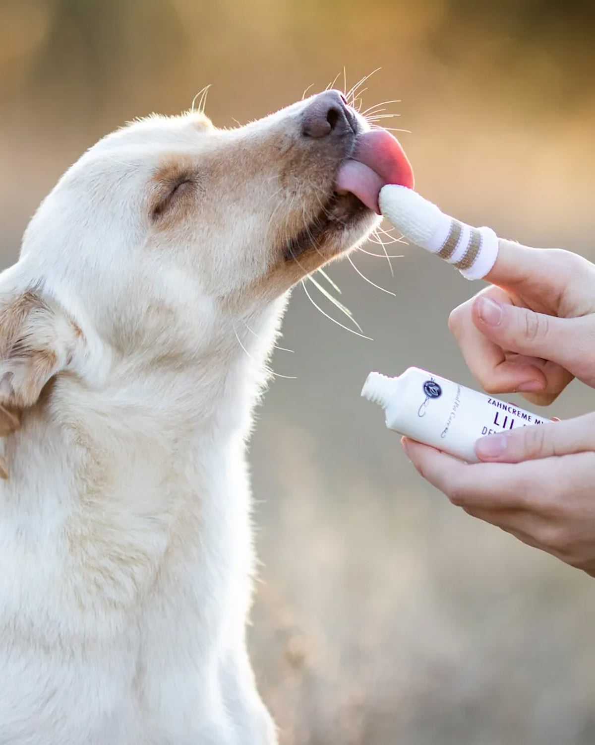 LILADENT DOG MINERAL TOOTHPASTE | משחת שיניים לכלב