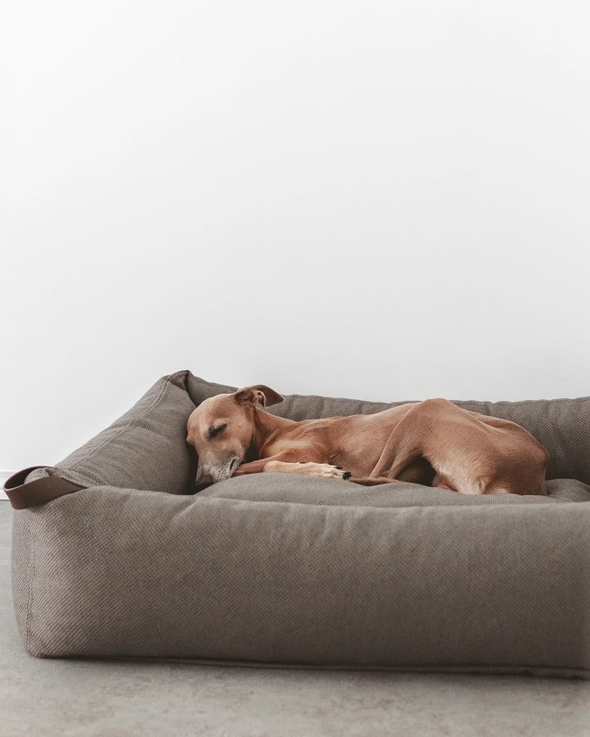 MARE DOG BOX BED | מיטה אורתופדית לכלב