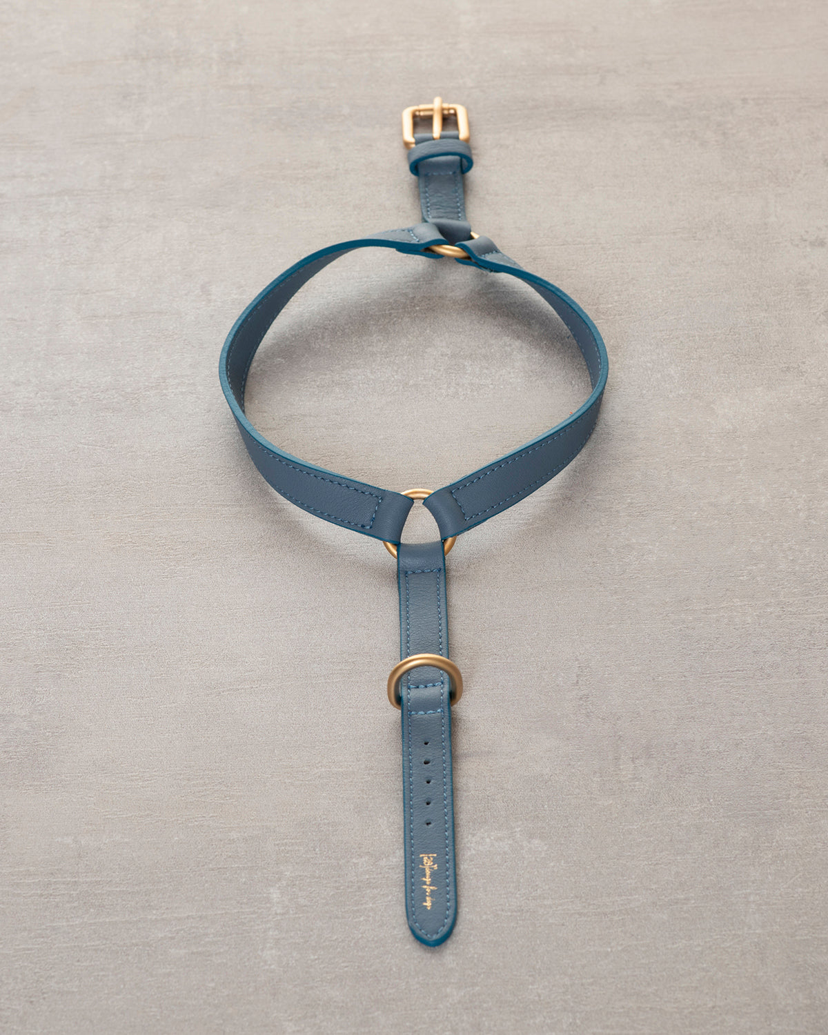 רתמת עור MARIO | רתמת עור לכלב