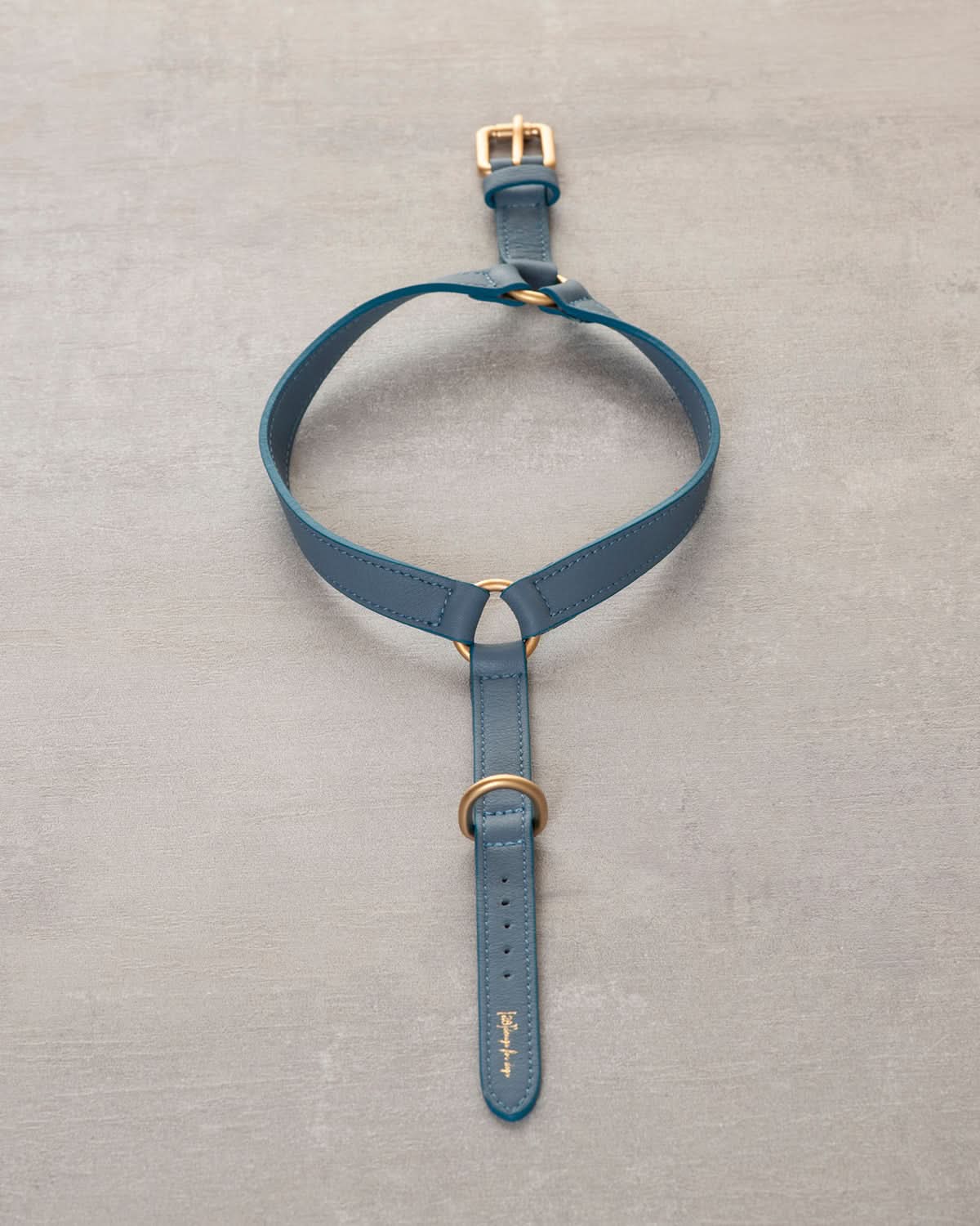 רתמה לכלב מעור נאפה איטלקי | MARIO NAPPA LEATHER DOG HARNESS