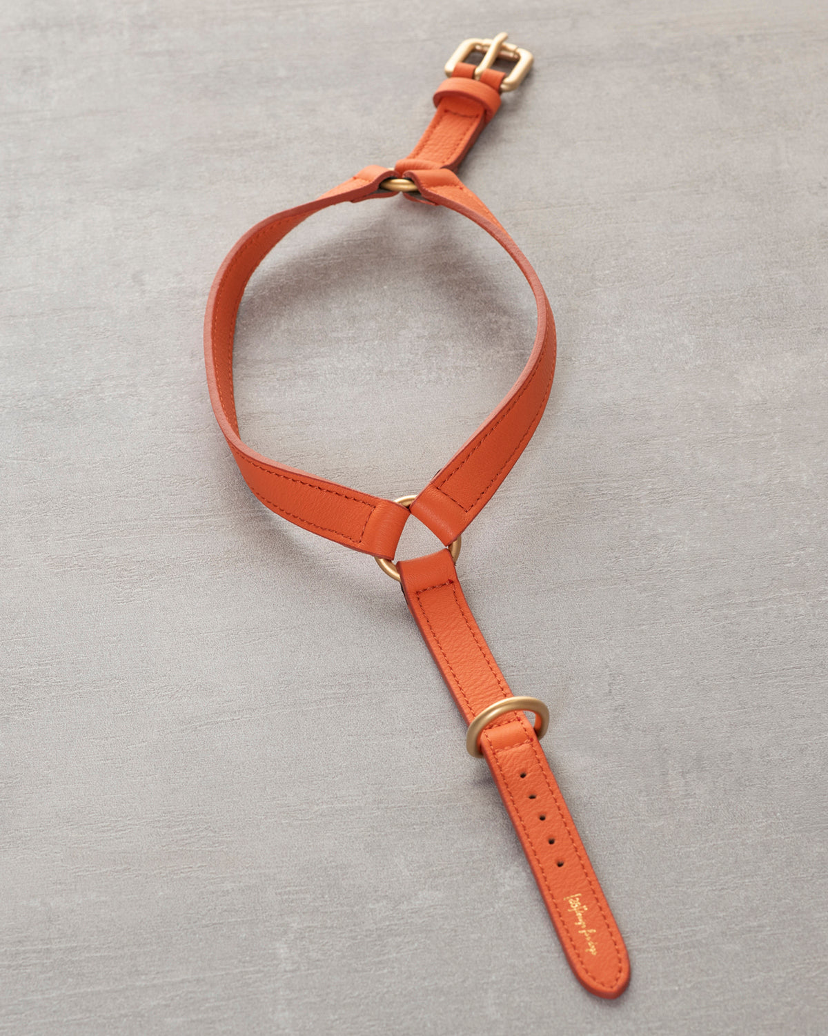 רתמת עור MARIO | רתמת עור לכלב