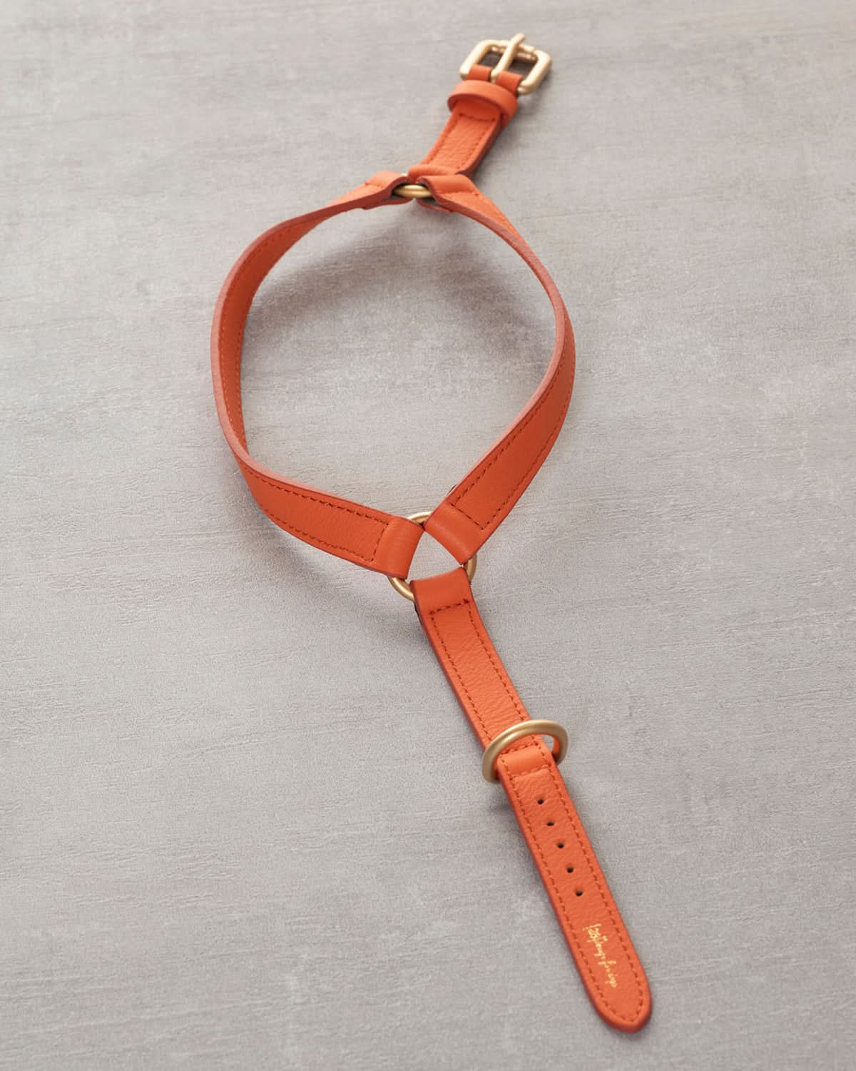 רתמה לכלב מעור נאפה איטלקי | MARIO NAPPA LEATHER DOG HARNESS
