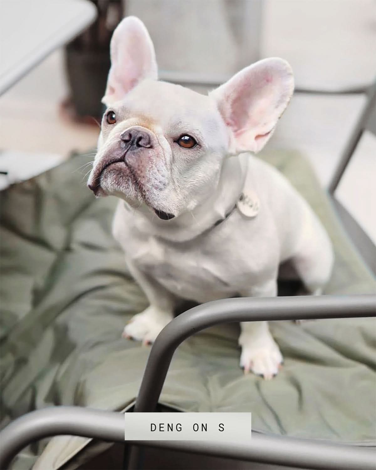 ORII TRAVEL MAT | מזרן טיולים מתקפל