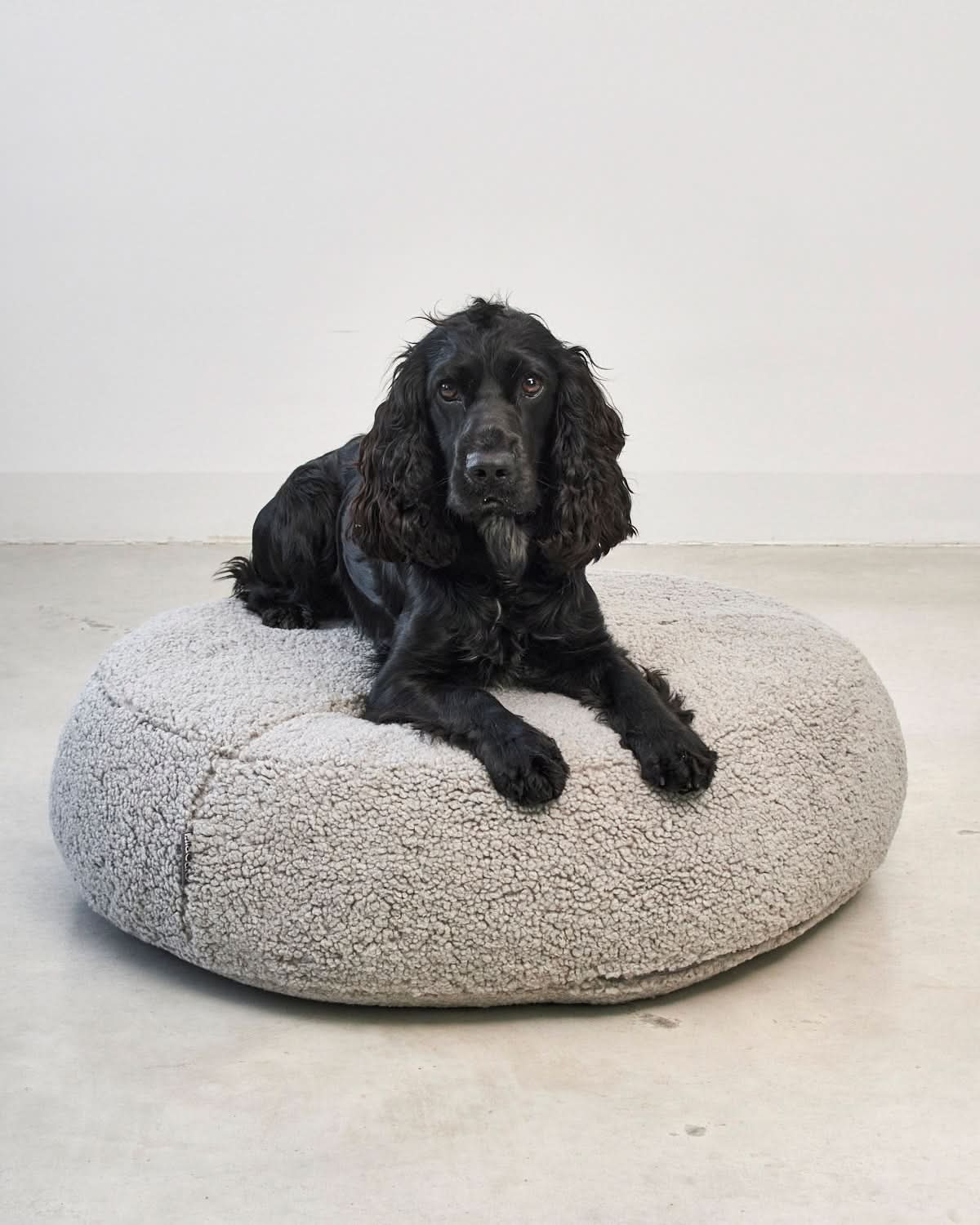 SENSO DOG ORTHOPEDIC POUFFE | מיטת פוף אורתופדית לכלב