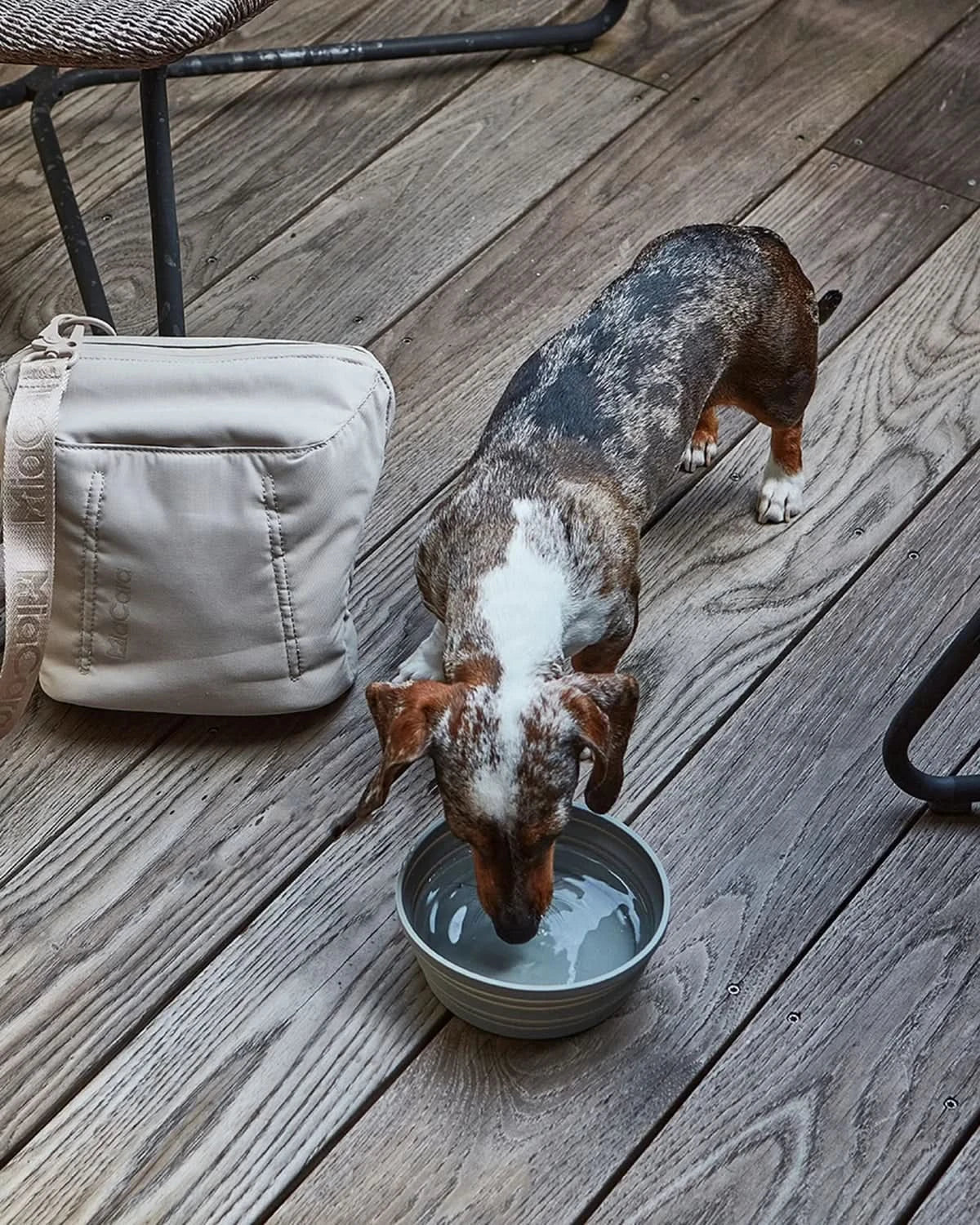 PIEGA PORTABLE DOG BOWL | קערה מתקפלת לכלב