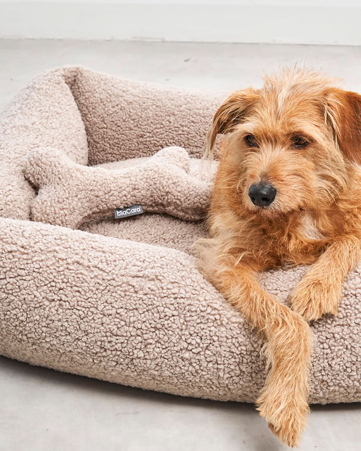 SENSO DOG BONE TOY | צעצוע עצם לכלב