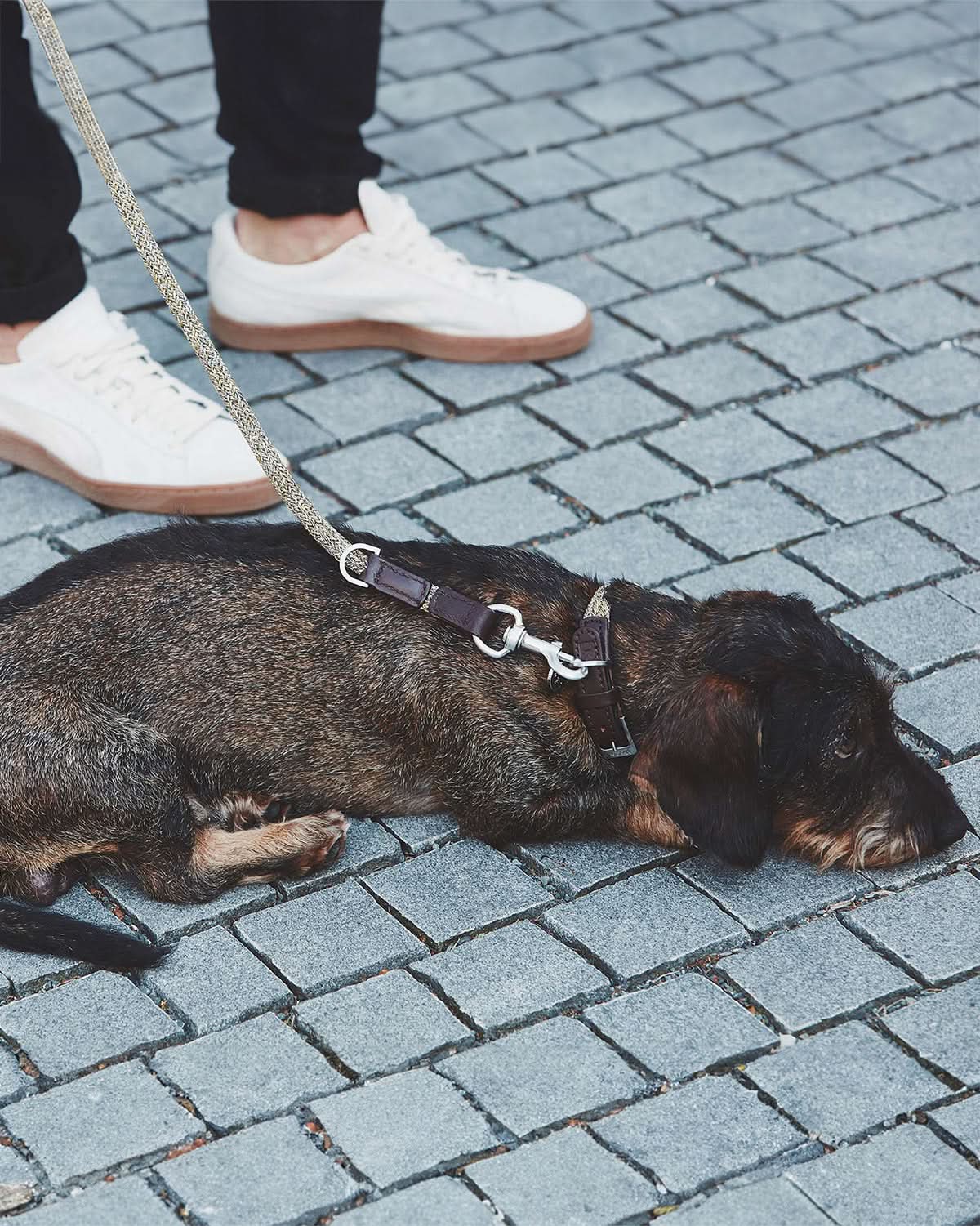 LUCCA ADJUSTABLE LEASH | רצועה מתכווננת לכלב