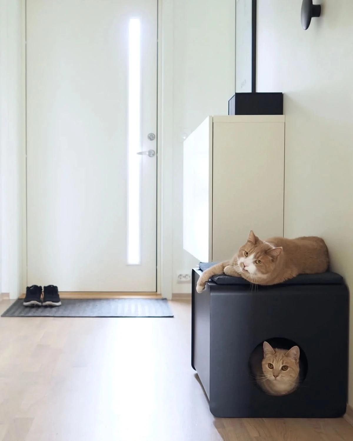 SITO LUXURY CAT LITTER BOX | ארגז חול מעוצב לחתולים