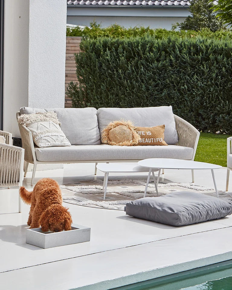 קערת מים בחוץ TROGOLO | קערת מים לחצר לכלב ולחתול