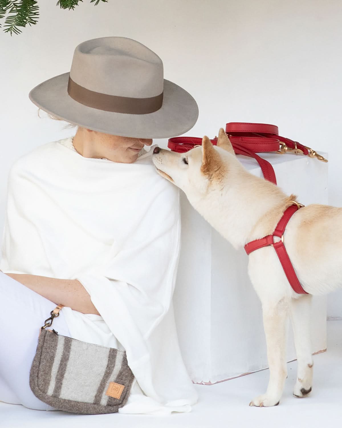 רצועת מתכווננת לכלב מעור נאפה איטלקי | MARIO ADJUSTABLE LEATHER LEASH