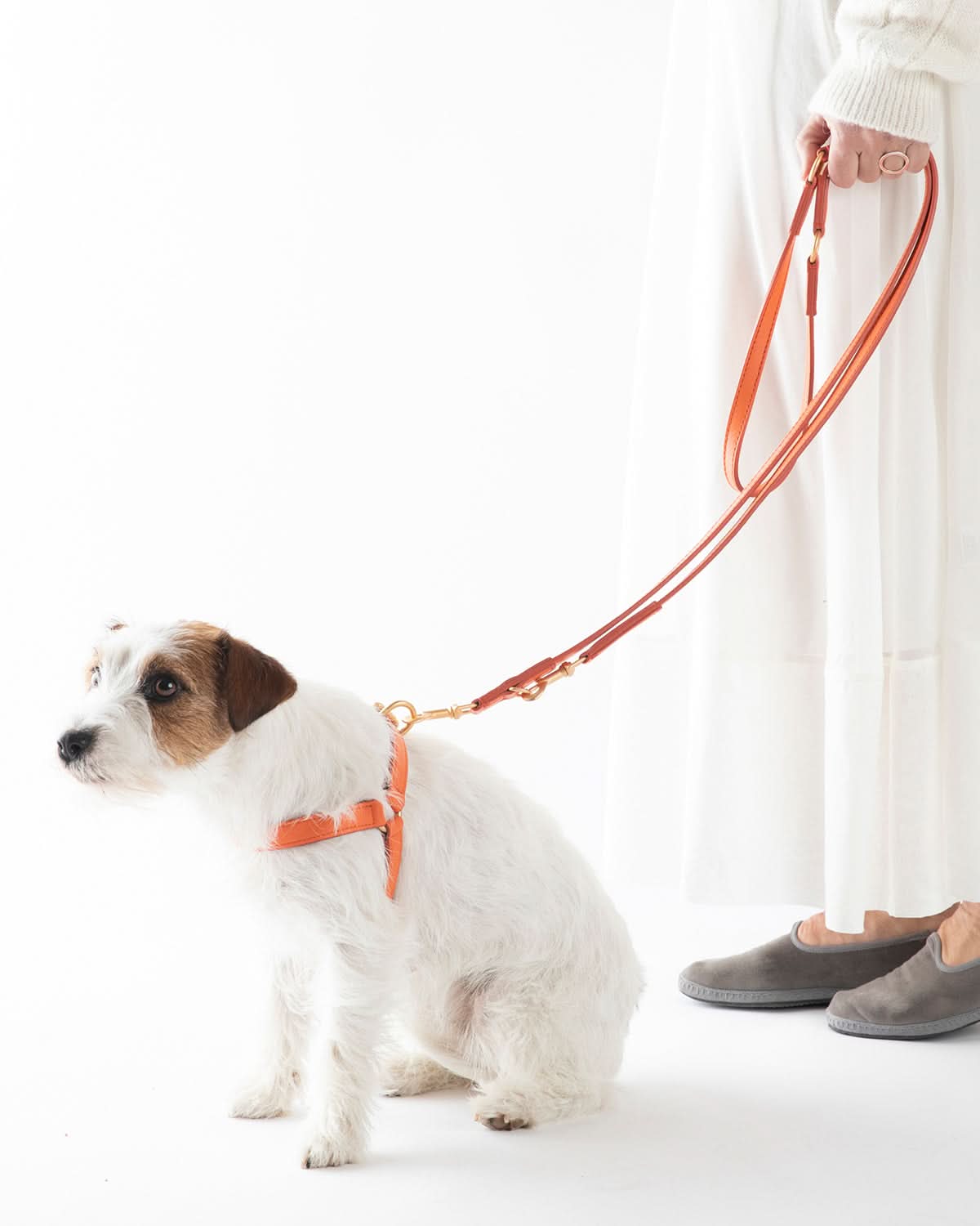 רצועת מתכווננת לכלב מעור נאפה איטלקי | MARIO ADJUSTABLE LEATHER LEASH