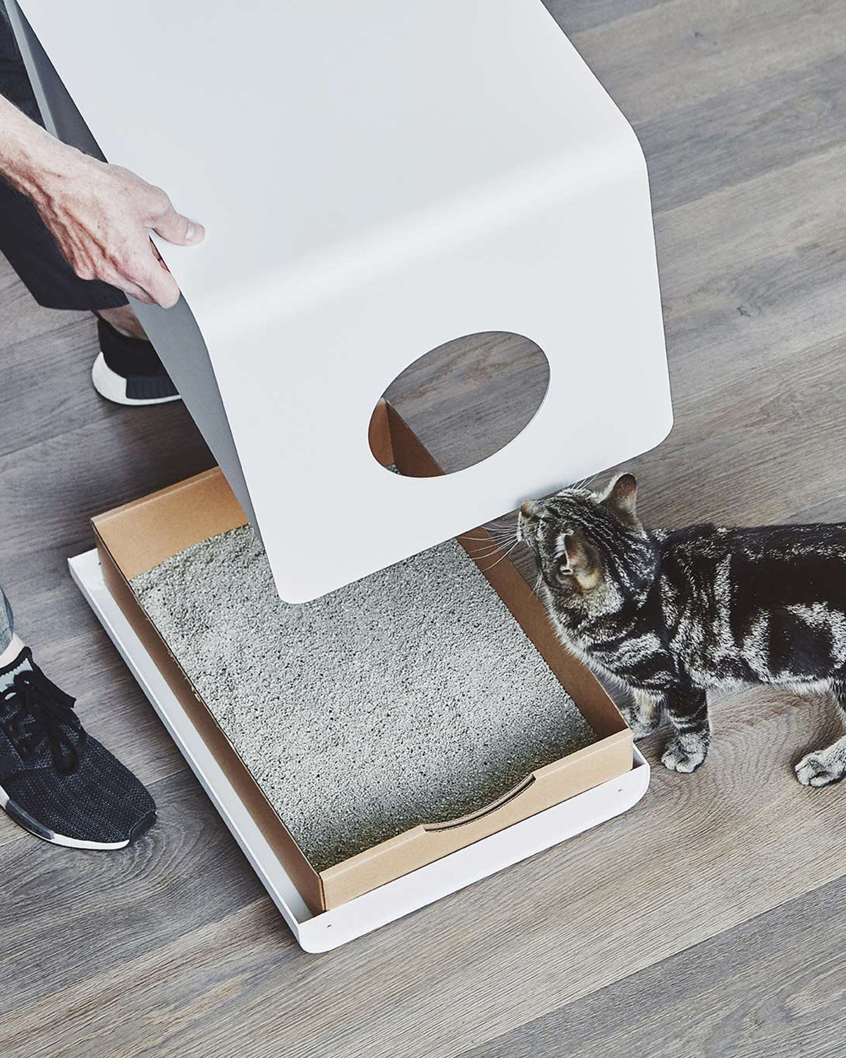 SITO LUXURY CAT LITTER BOX | ארגז חול מעוצב לחתולים
