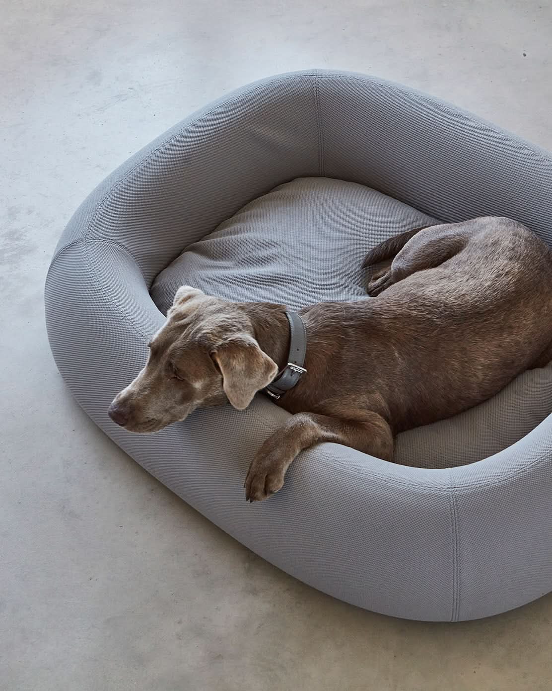 מיטה אורתופדית לכלב | BARCA ORTHOPEDIC DOG BED