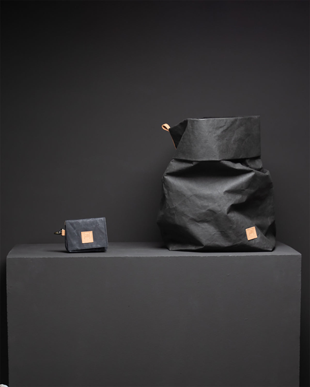 אחסון מזון לכלבים