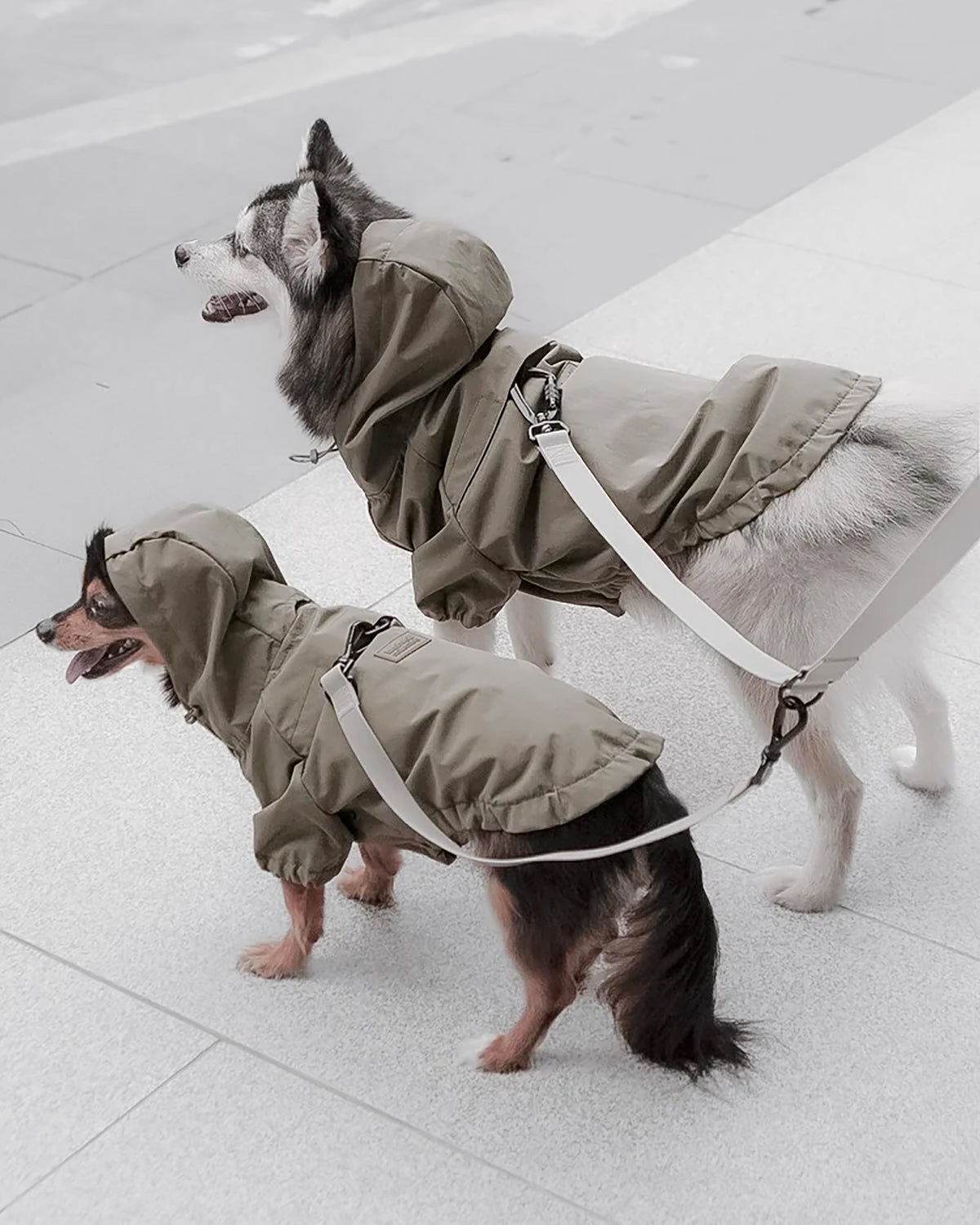 KNOX X LEASH CONNECTOR | מאריך לרצועה לכלב