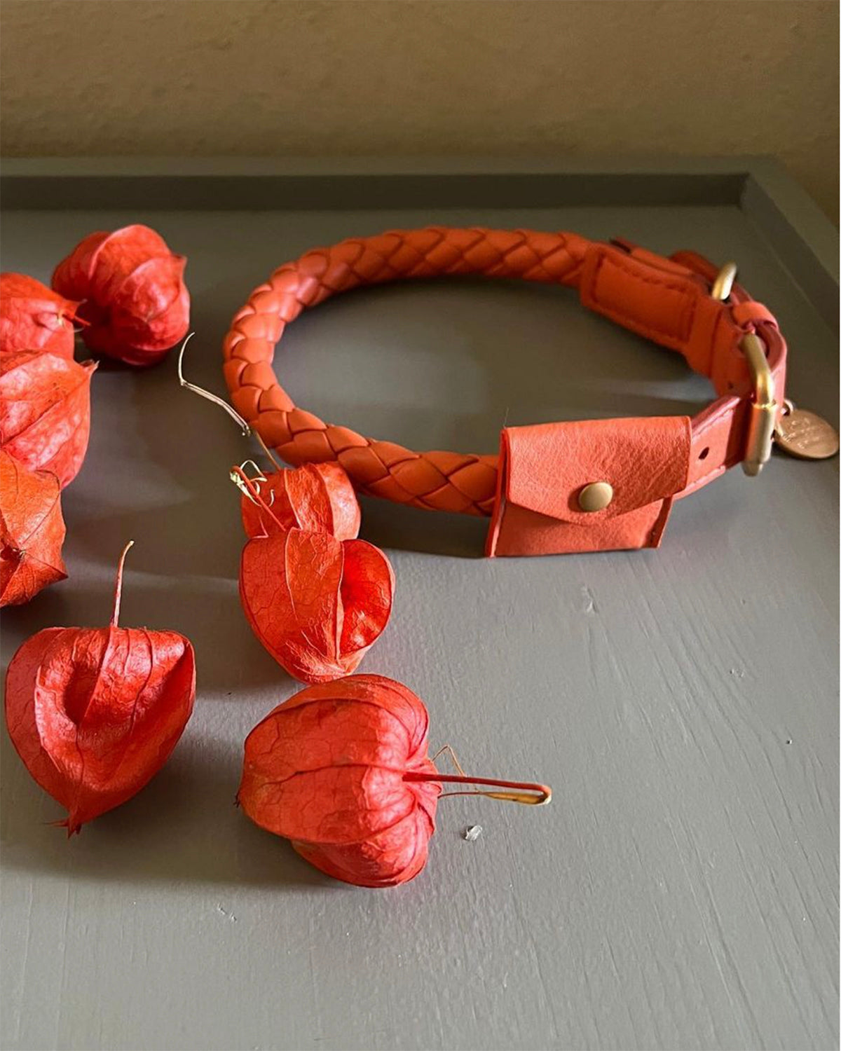 קולר לכלב, קולר עור לכלבים