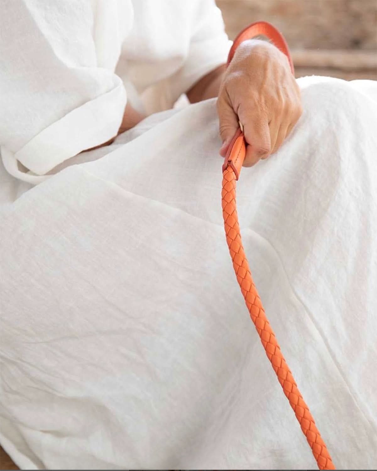 רצועת עור לכלב