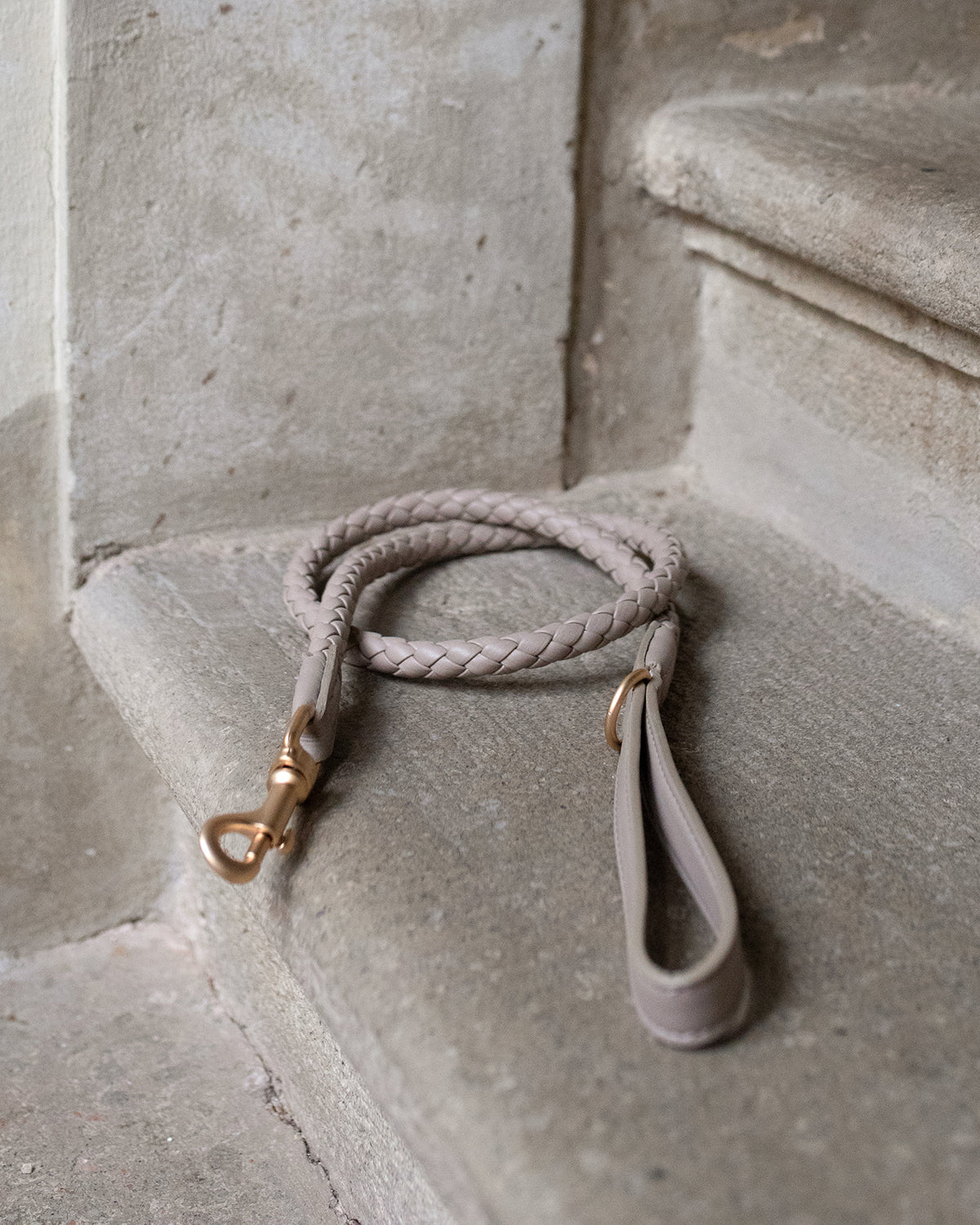 רצועת עור לכלב