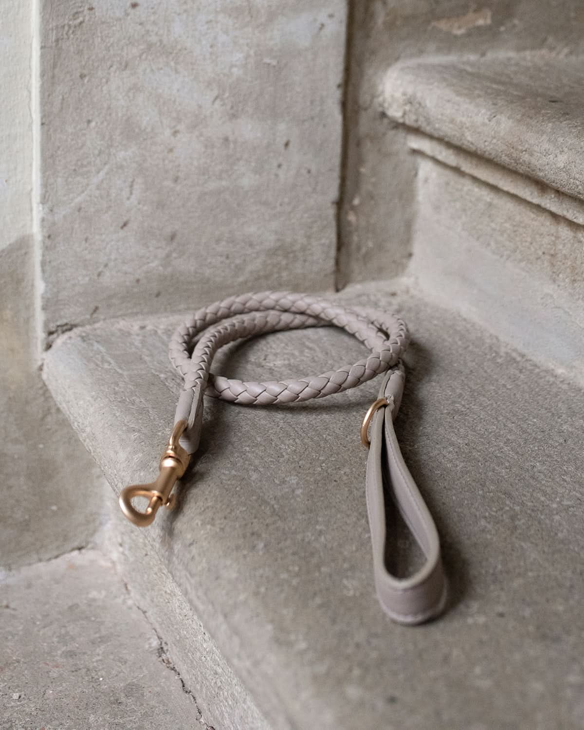 רצועת עור לכלב