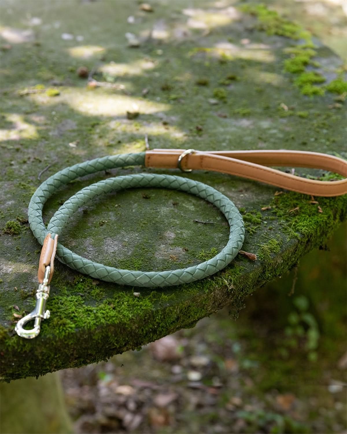 רצועת עור טבעוני לכלב