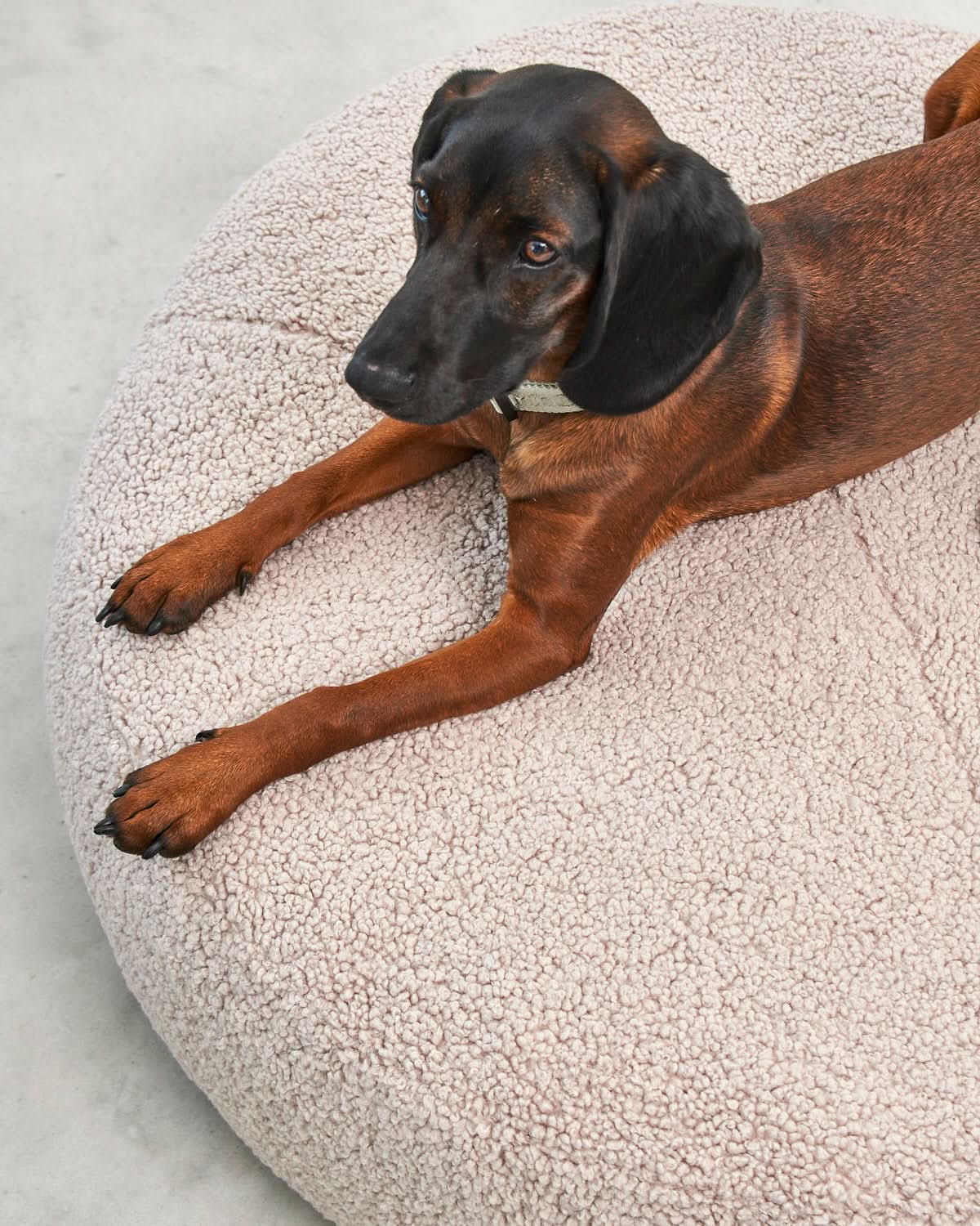 SENSO DOG ORTHOPEDIC POUFFE | מיטת פוף אורתופדית לכלב