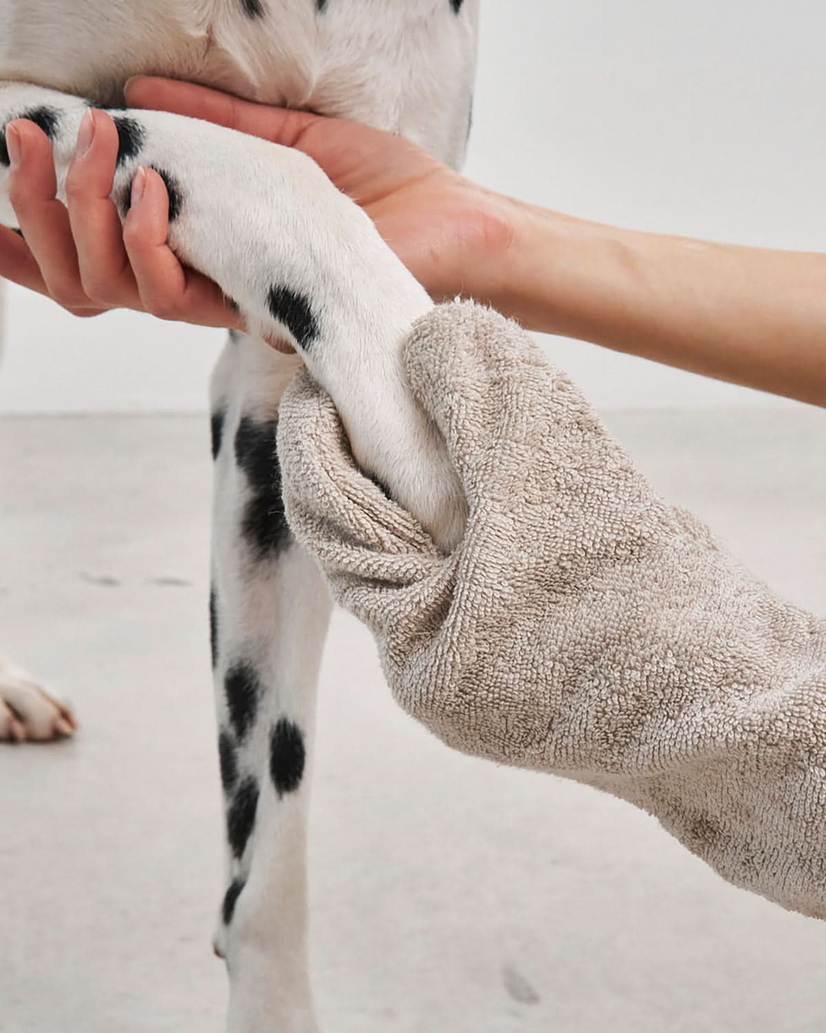 כפפת מגבת לכלב | GUANTO DOG DRYING GLOVES