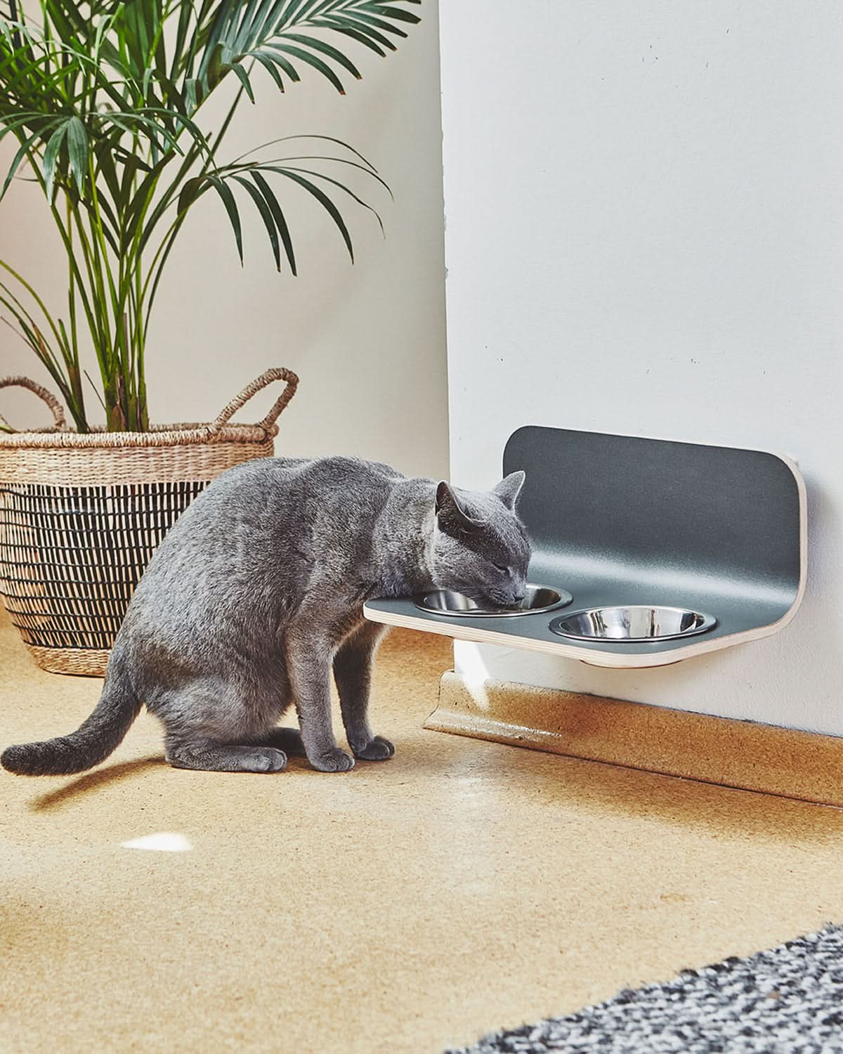 פינות אוכל לחתולים וכלבים