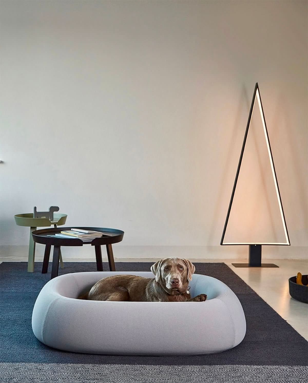 מיטה אורתופדית לכלב | BARCA ORTHOPEDIC DOG BED