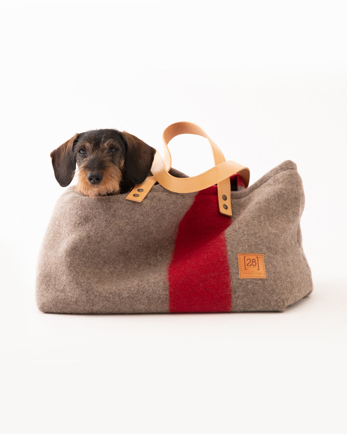 תיק נשיאה לכלב