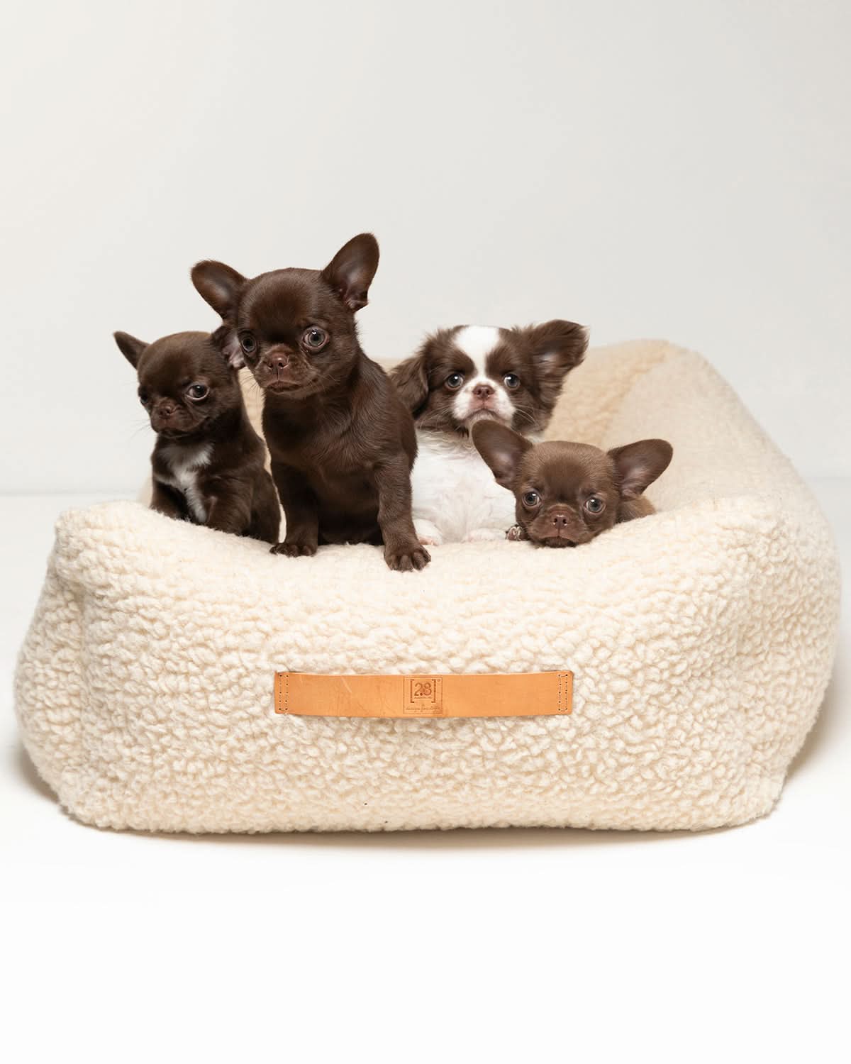 HENRI BOUCLÉ WOOL DOG BED | מיטה לכלב