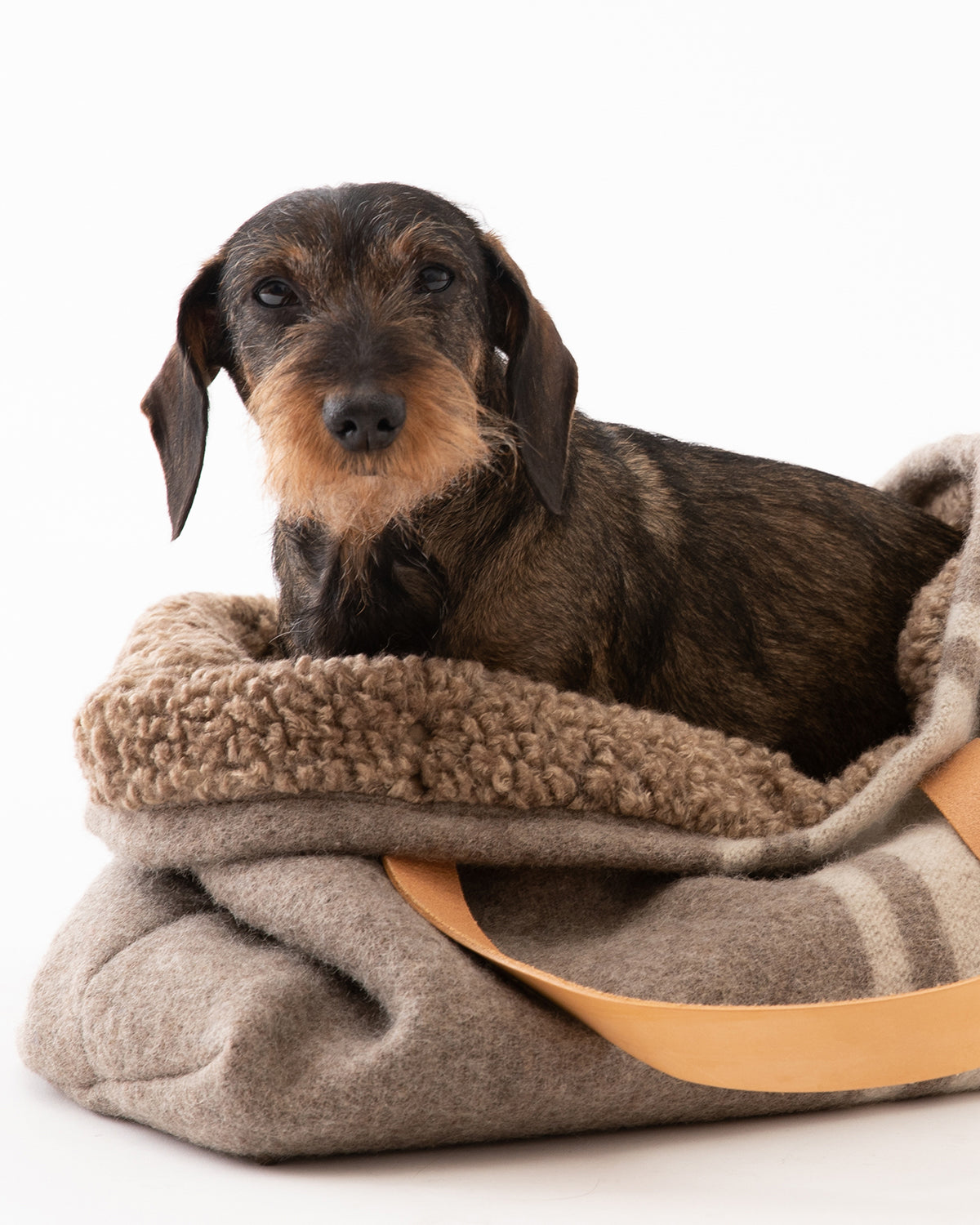 תיק נשיאה לכלב