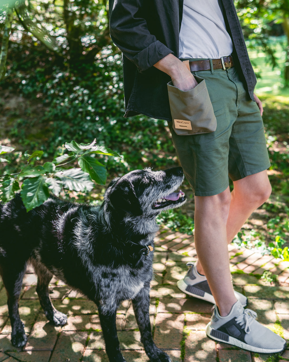 LUPO DOG TREAT BAG | נרתיק חטיפים לכלב