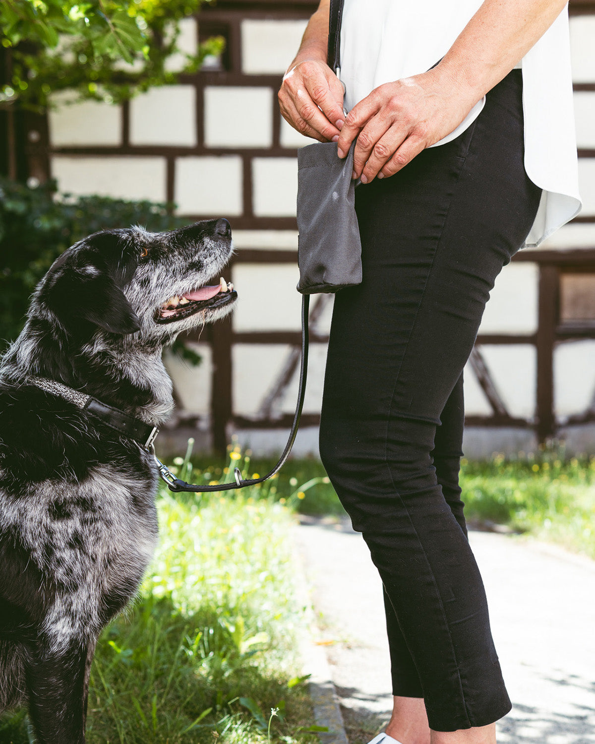 LUPO DOG TREAT BAG | נרתיק חטיפים לכלב